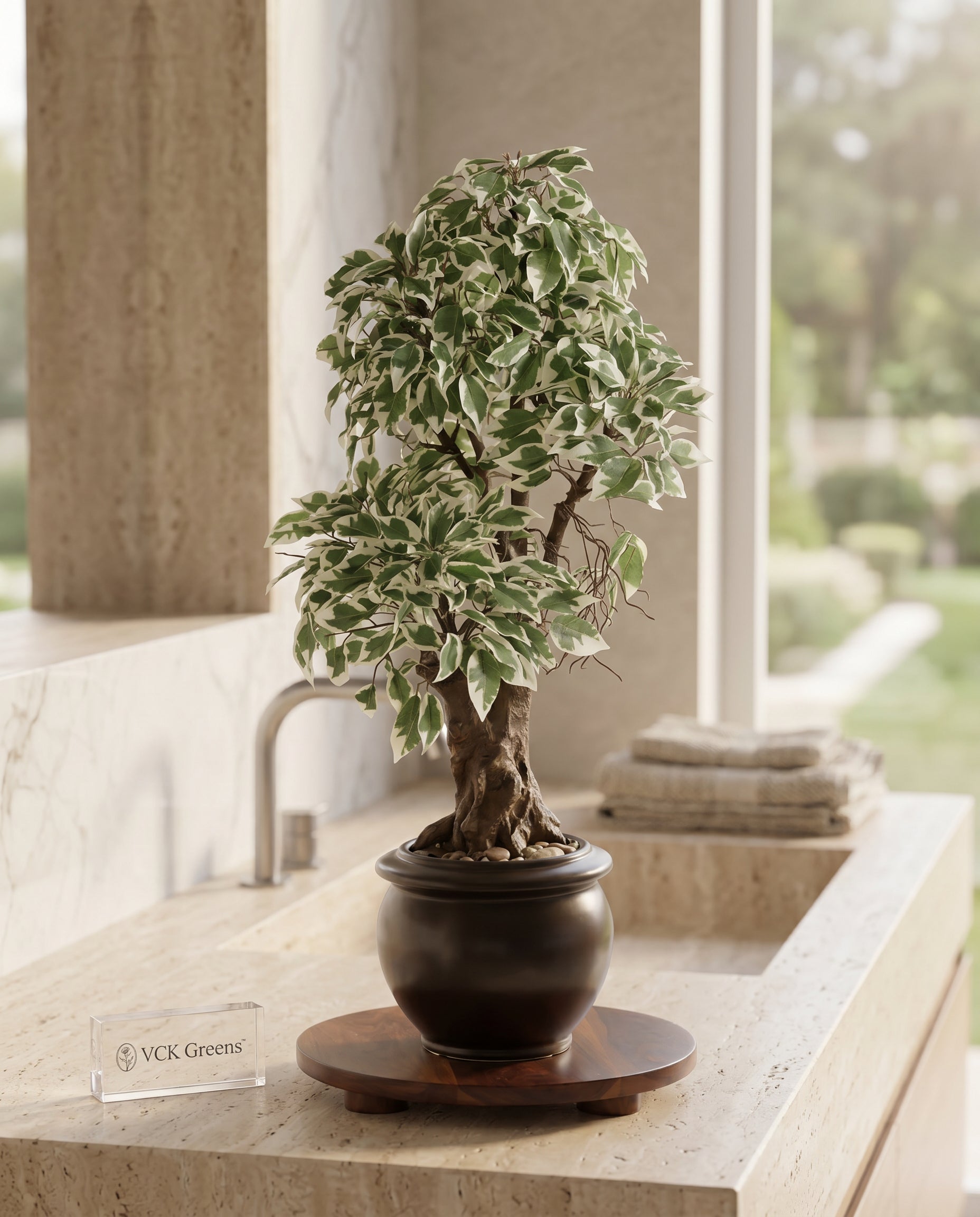 Artificial Variegated Ficus Leaf Bonsai 2ft