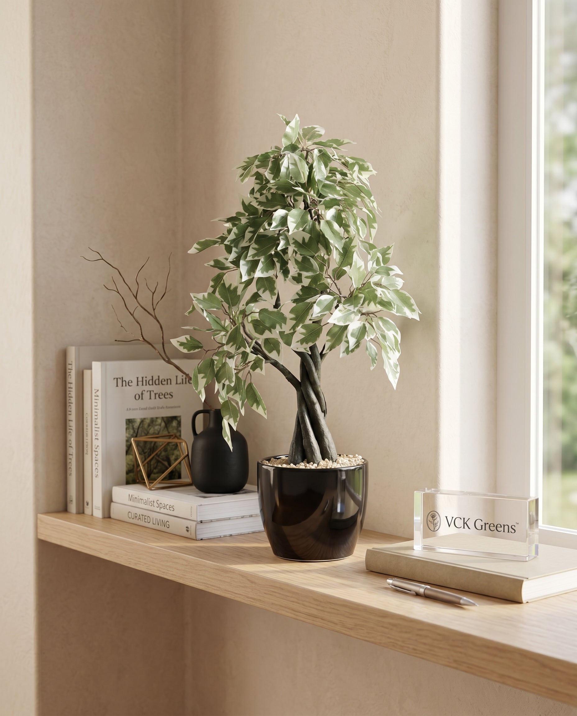 Artificial Variegated Ficus Bonsai 1.9ft