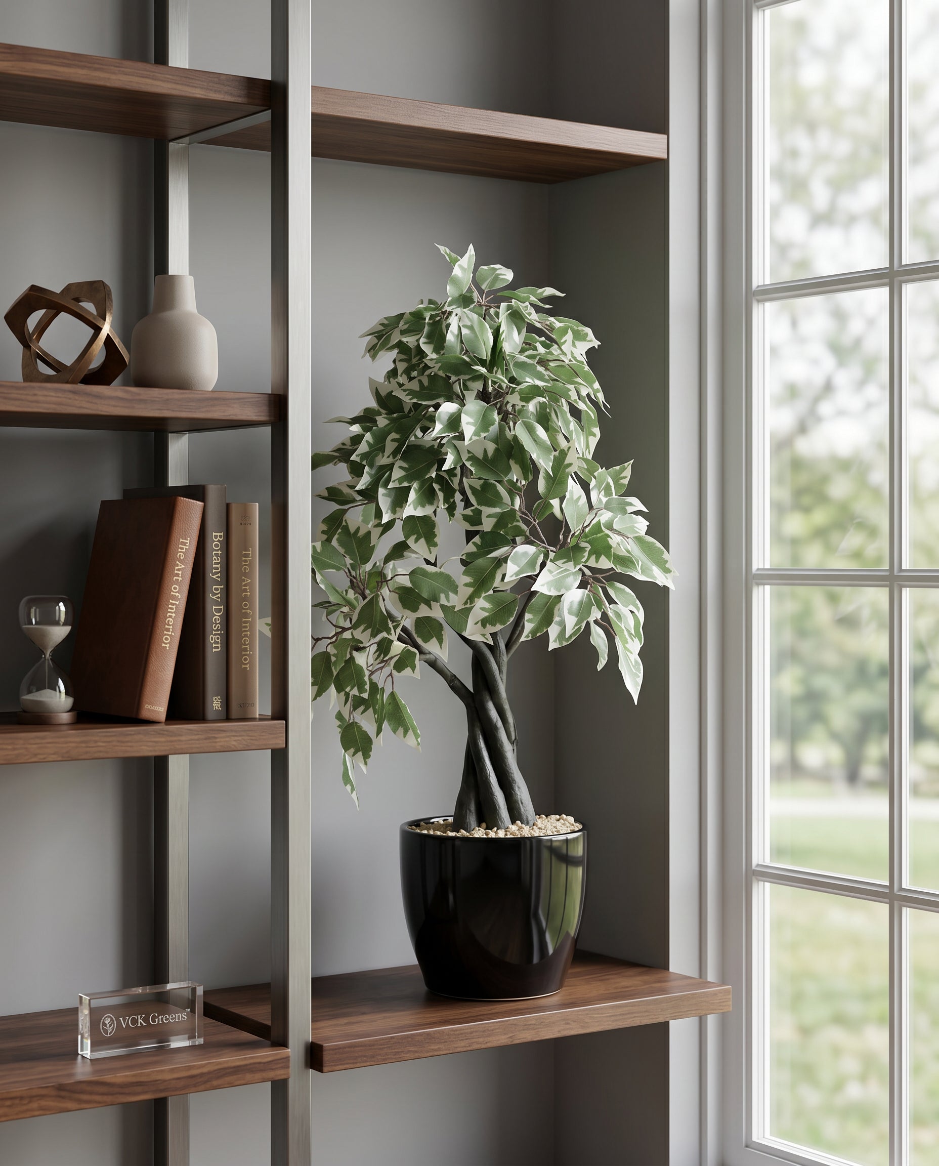 Artificial Variegated Ficus Bonsai 1.9ft