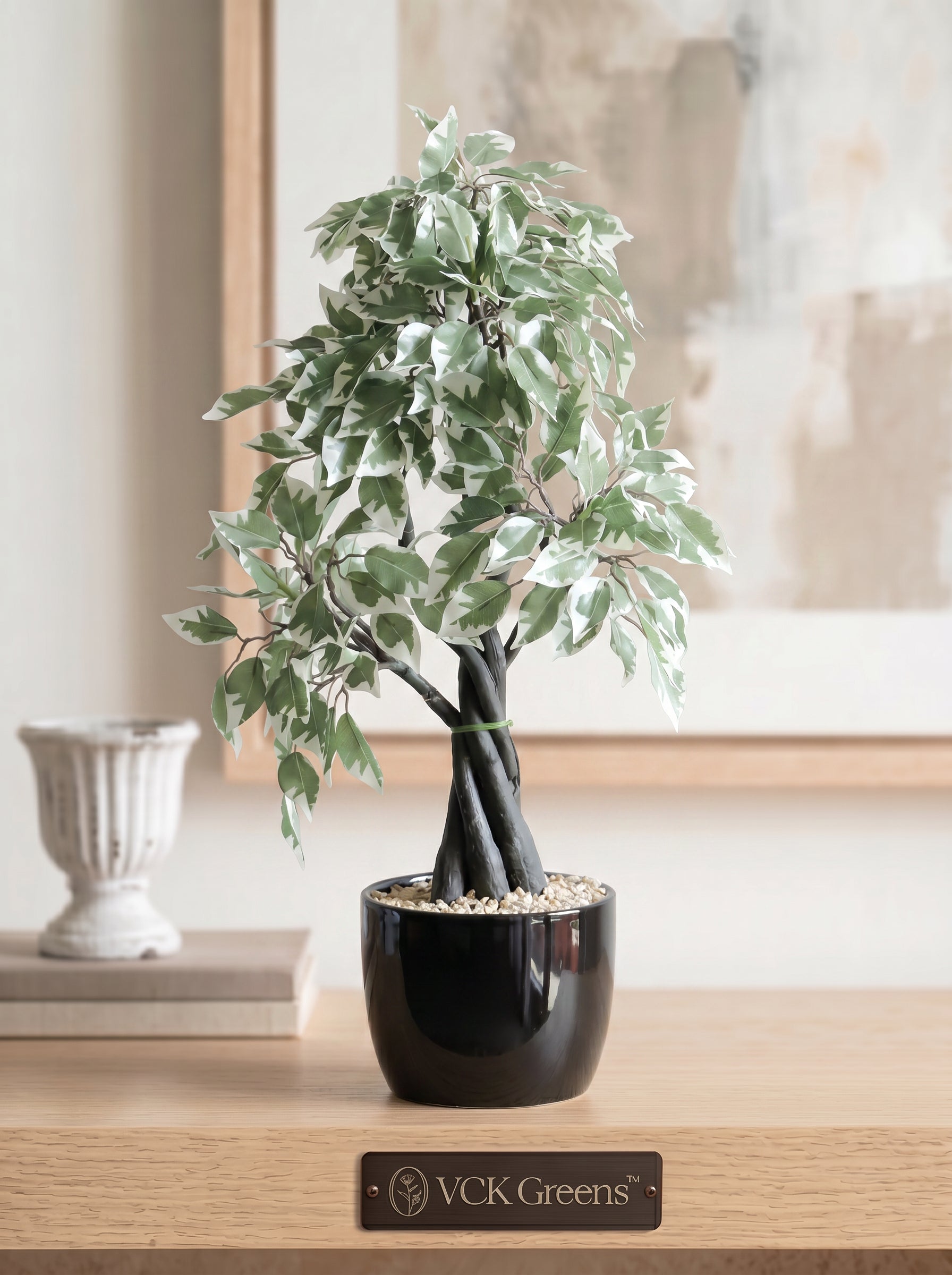 Artificial Variegated Ficus Bonsai 1.9ft
