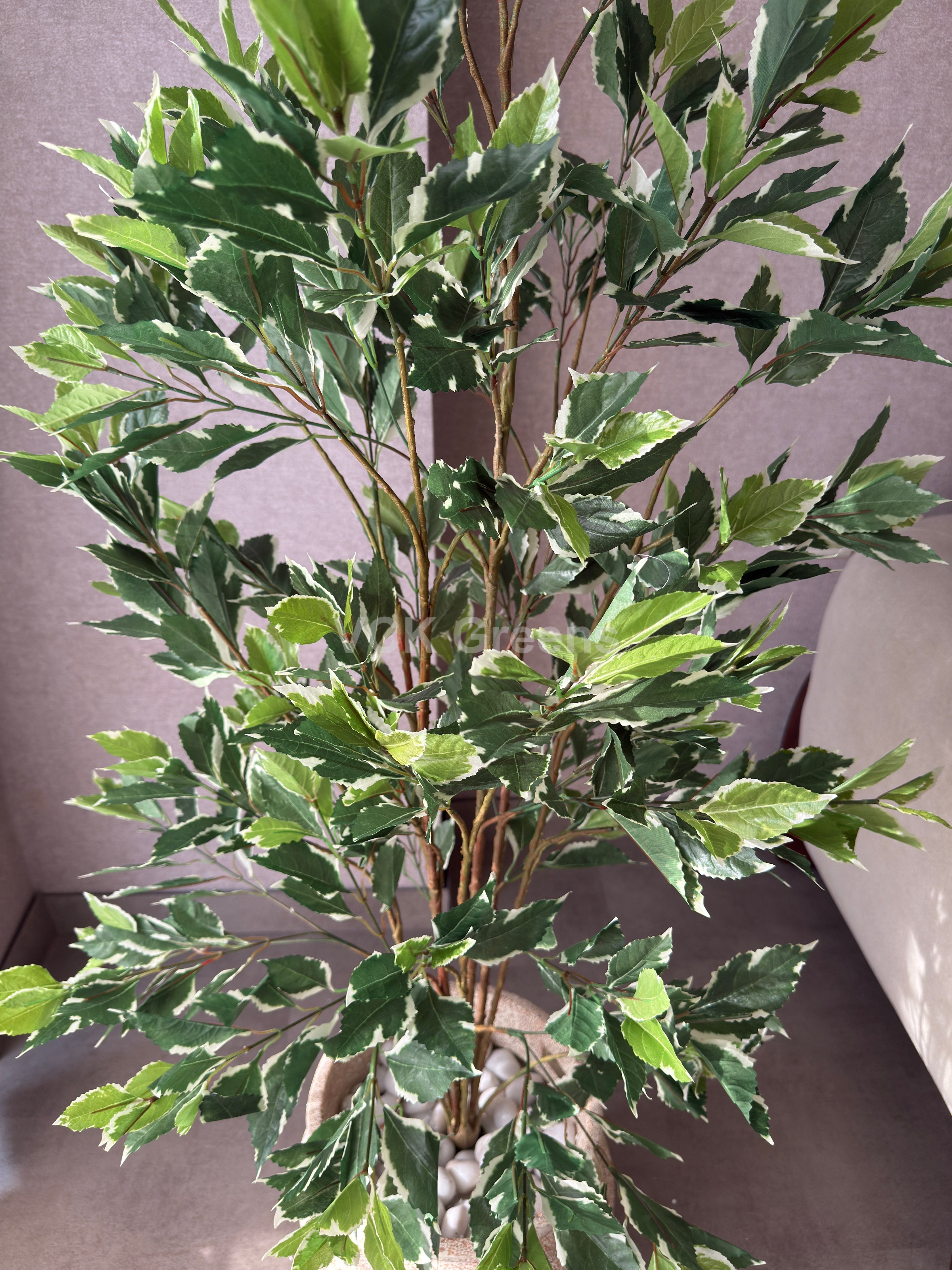 Artificial Variegated Ficus Plant 5ft