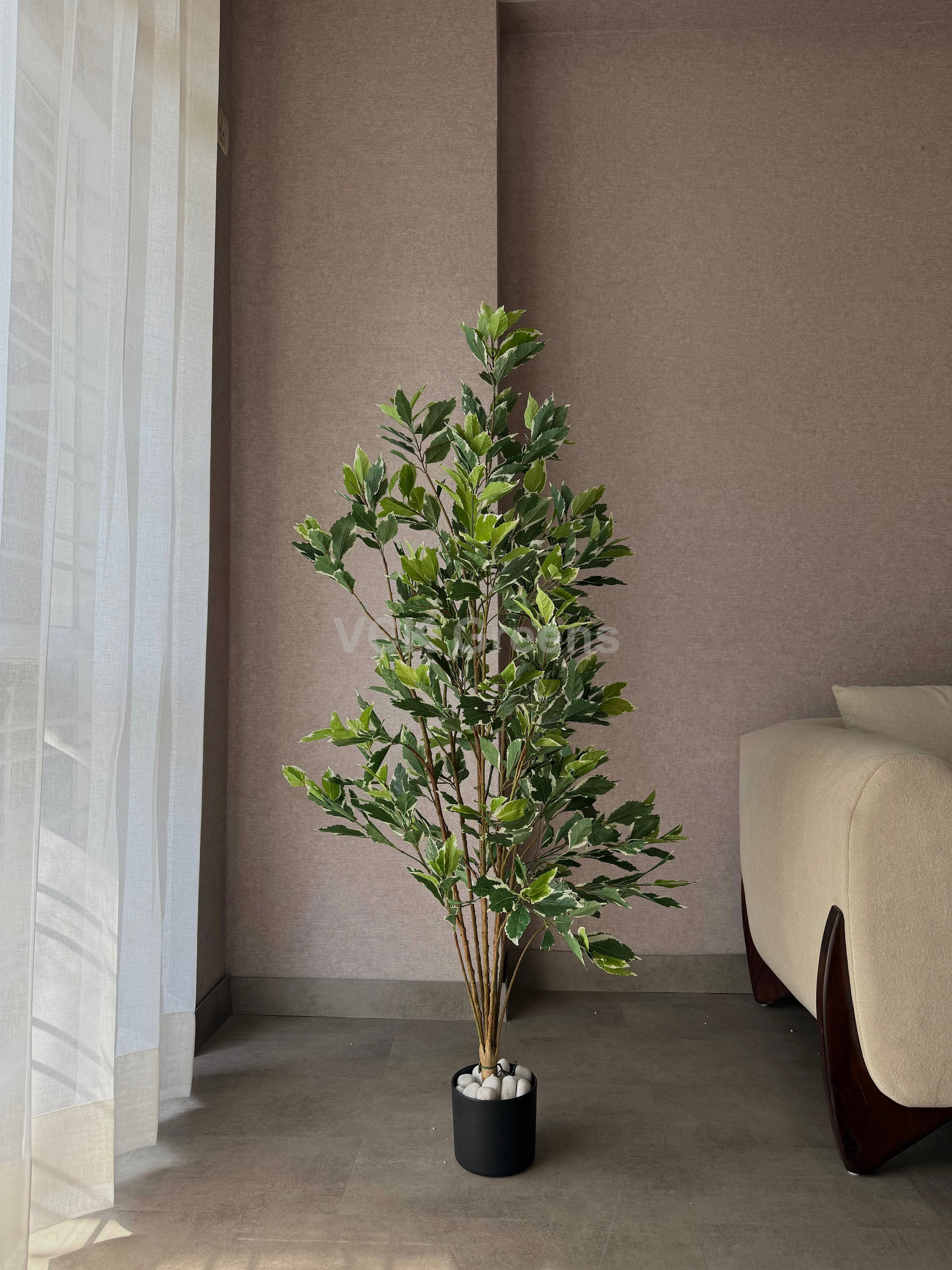 Artificial Variegated Ficus Plant 5ft