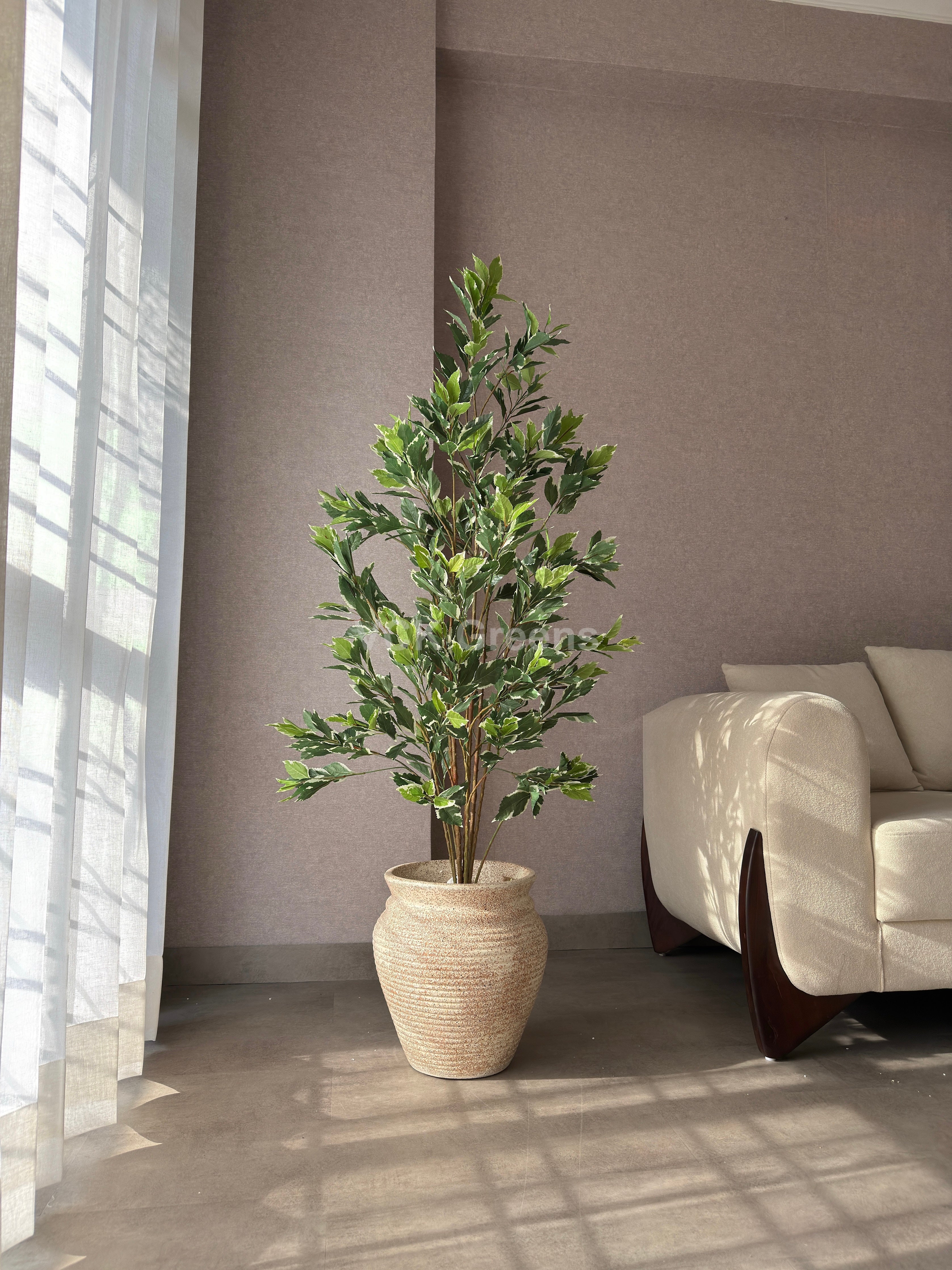 Artificial Variegated Ficus Plant 5ft