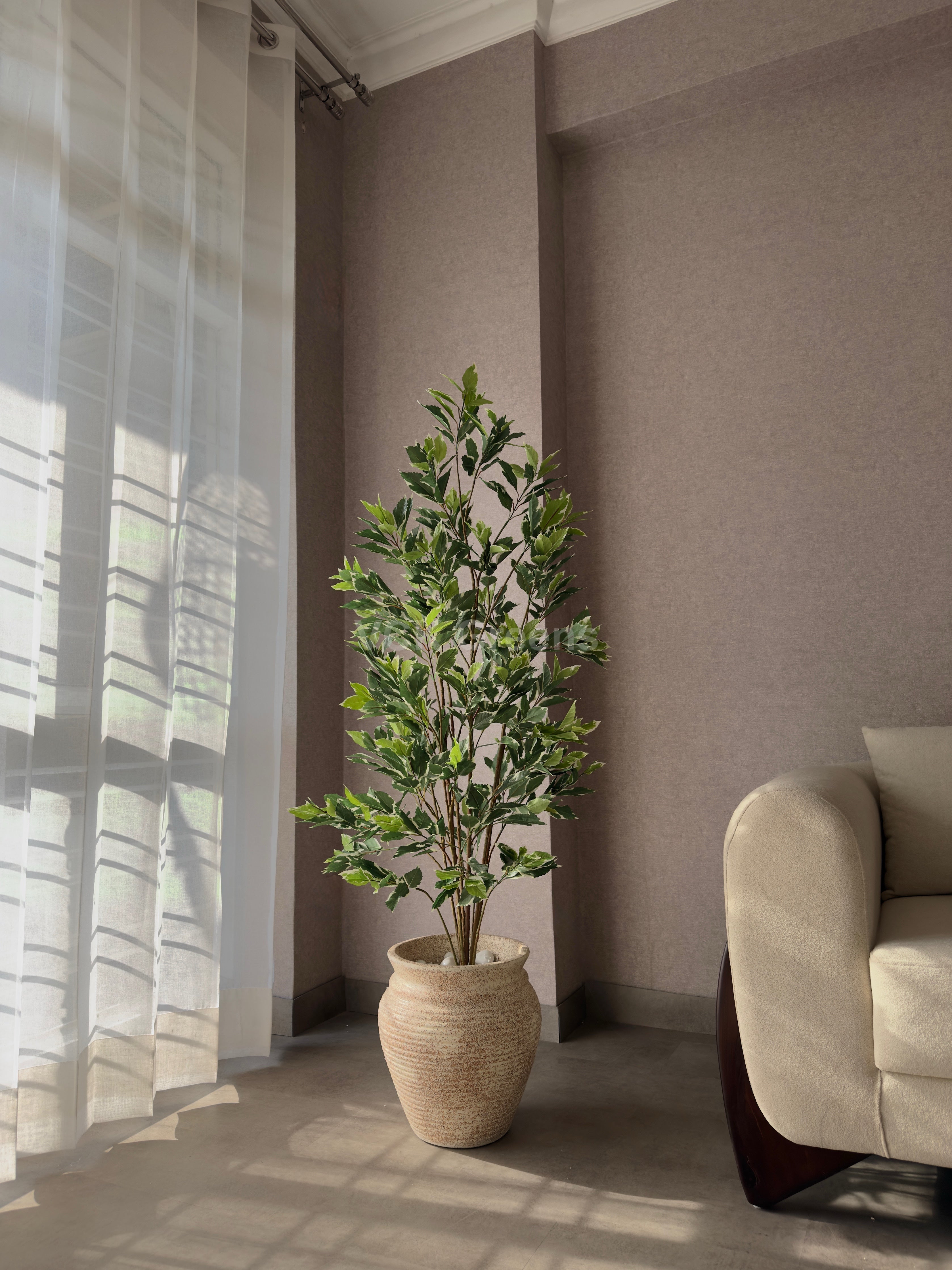 Artificial Variegated Ficus Plant 5ft
