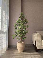 Artificial Variegated Ficus Plant 5ft