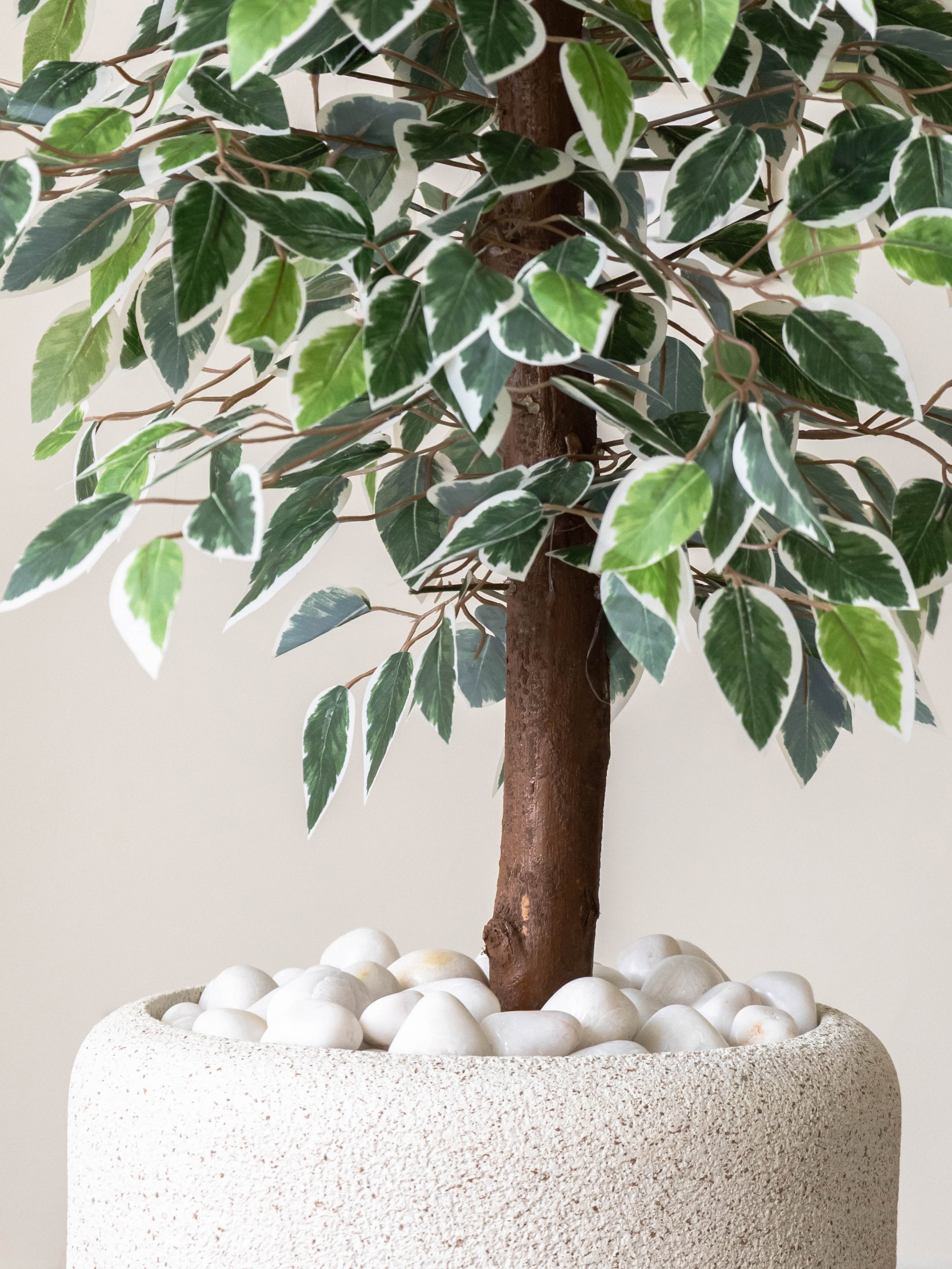 Artificial Variegated Ficus Tree 3ft