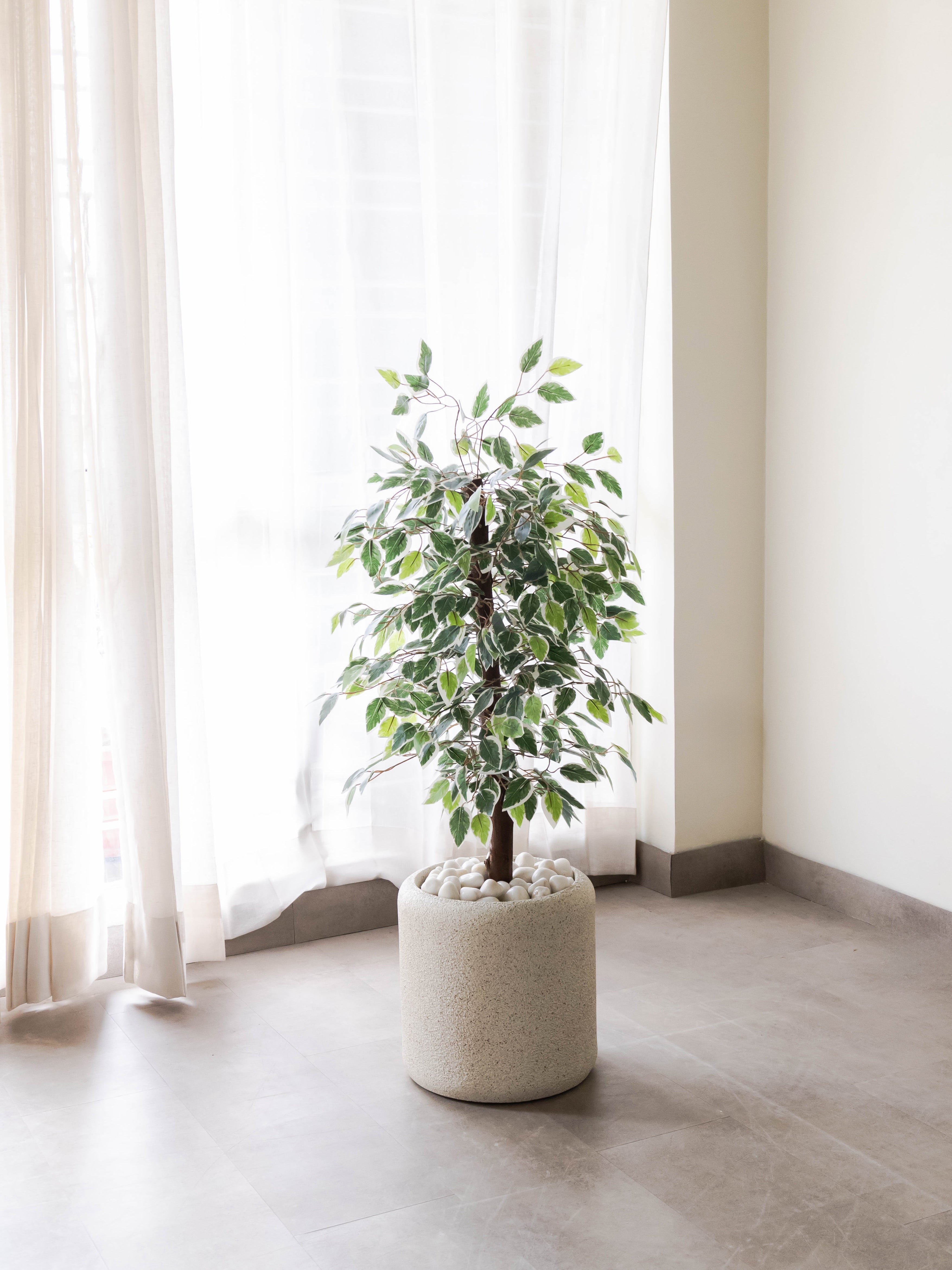 Artificial Variegated Ficus Tree 3ft