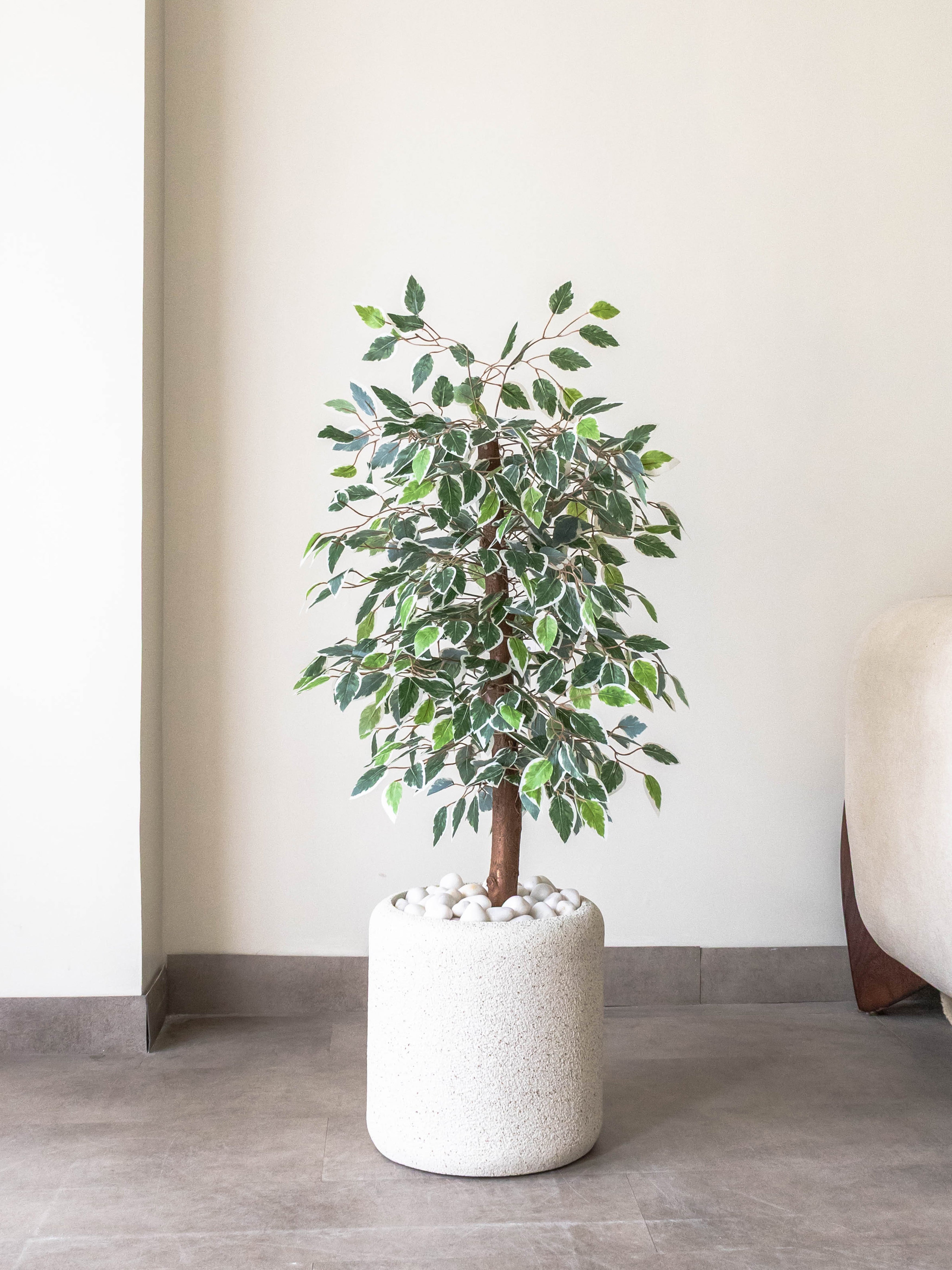 Artificial Variegated Ficus Tree 3ft