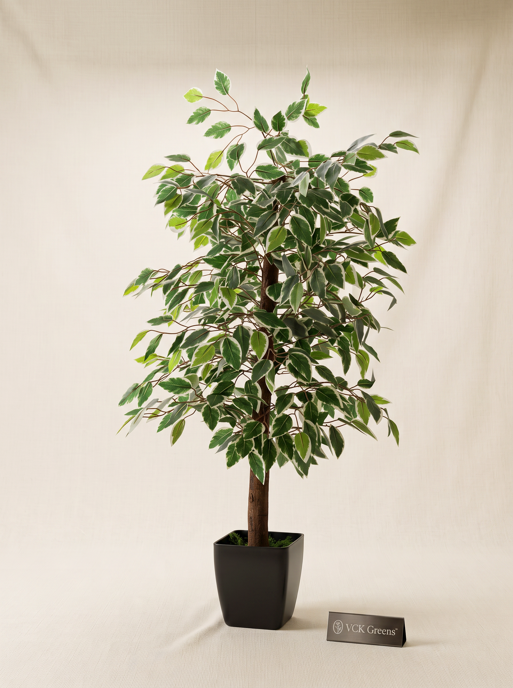 Artificial Variegated Ficus Tree 3ft