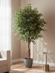 Artificial Variegated Ficus Tree 7.6ft