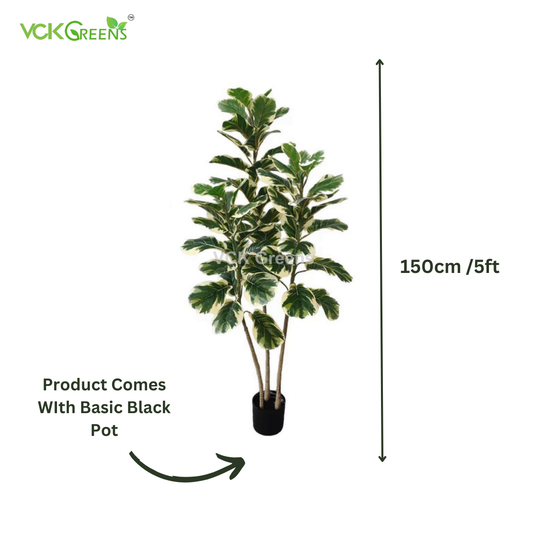 Artificial Variegated Rubber Plant 5ft With Pot