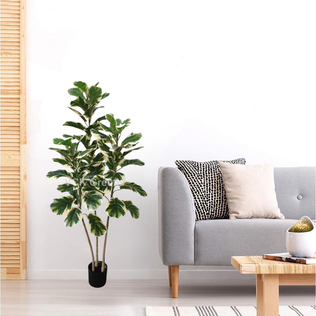 Artificial Variegated Rubber Plant 5ft With Pot