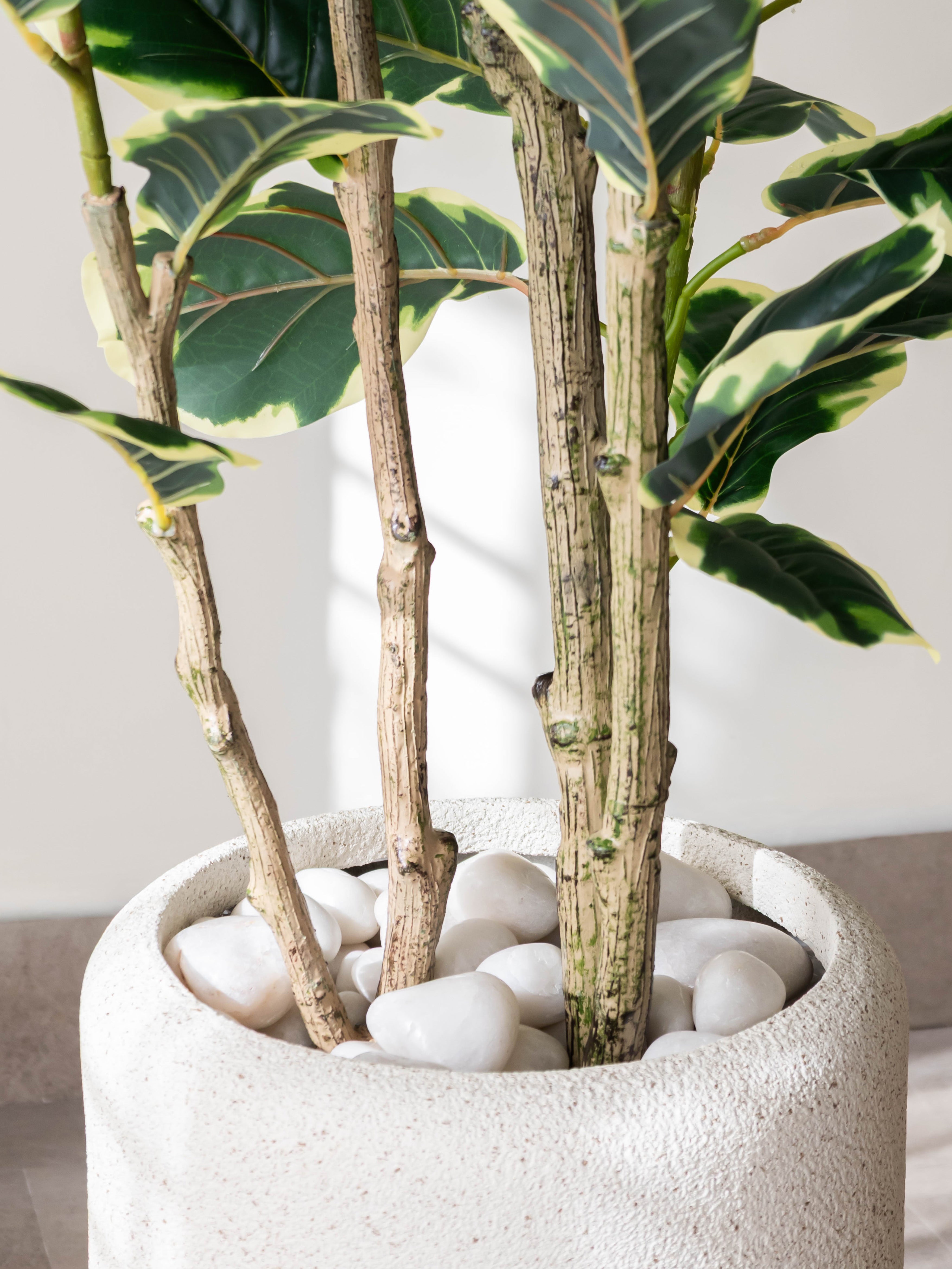 Artificial Variegated Rubber Plant 4.10ft