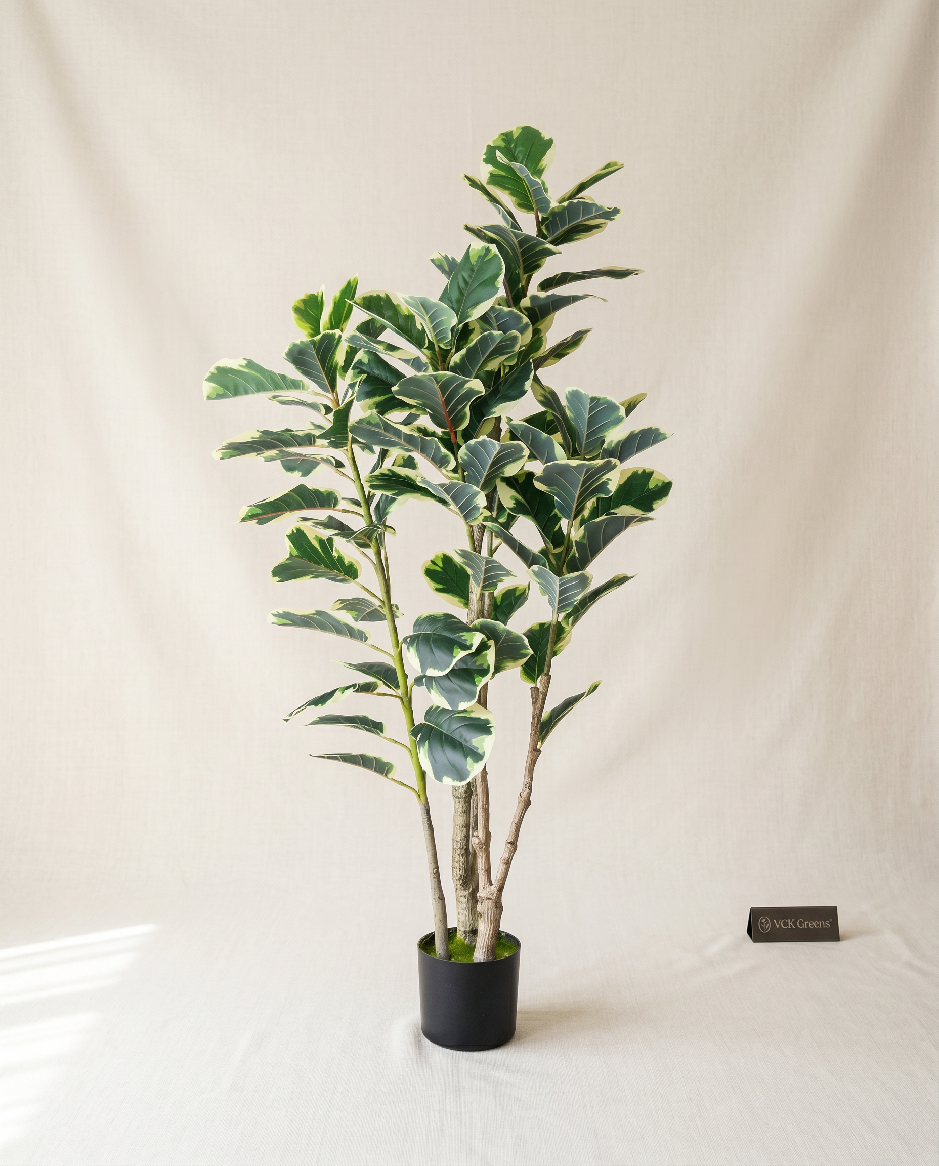 Artificial Variegated Rubber Plant 4.10ft