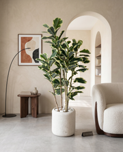 Artificial Variegated Rubber Plant 4.10ft
