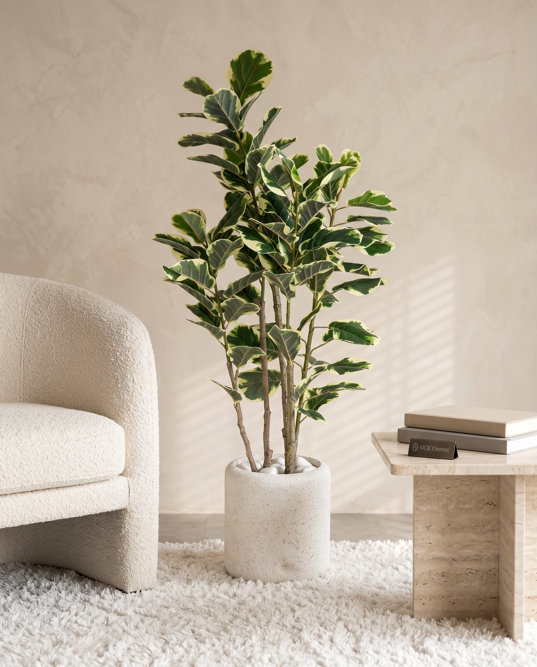 Artificial Variegated Rubber Plant 4.10ft