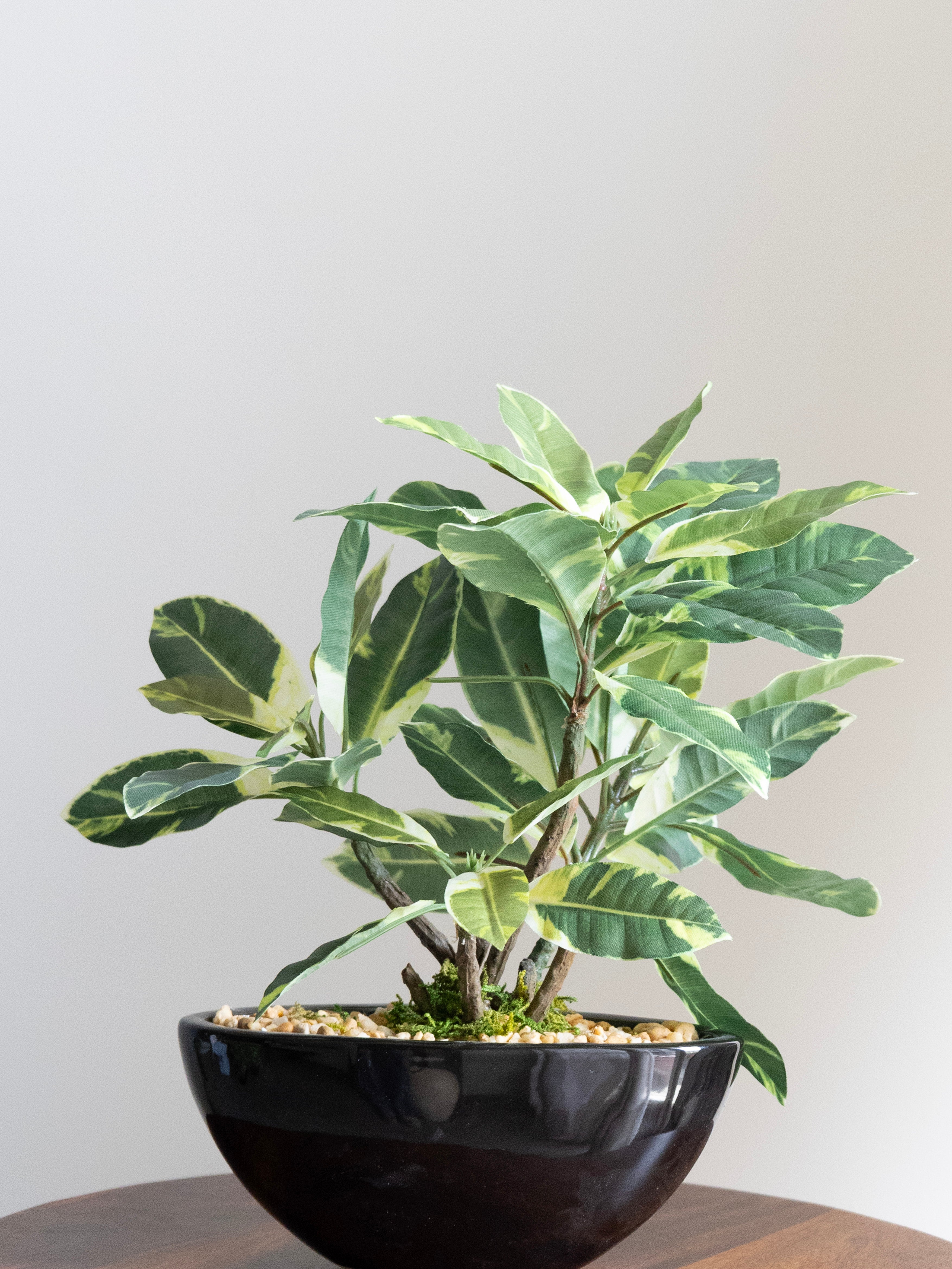 Artificial Variegated Bonsai 1ft