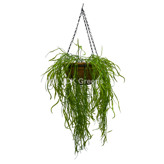 Artificial Willow Leaf Hanging Coco Basket 2.8ft