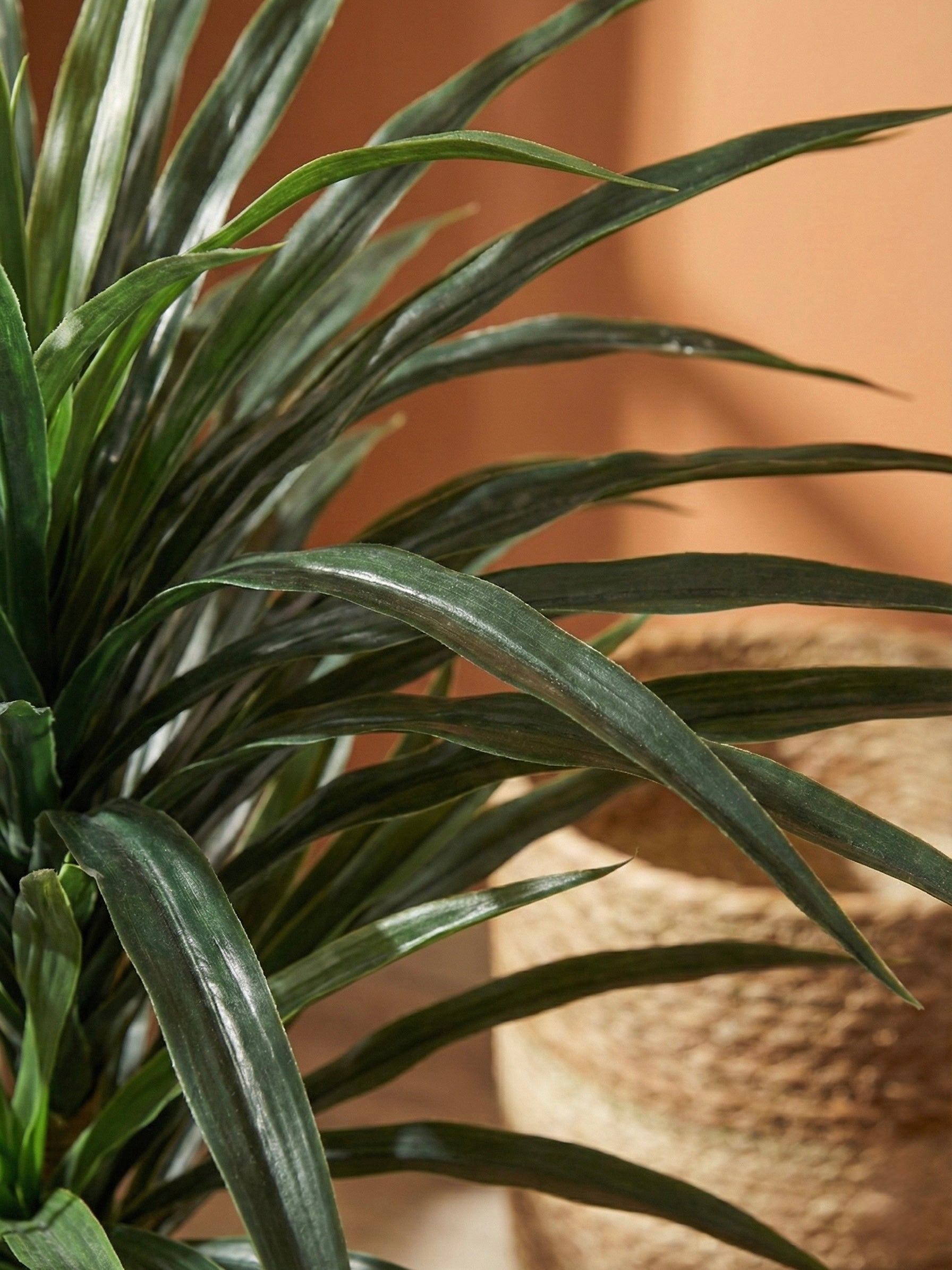 Artificial Yucca X 5 Plant 3ft