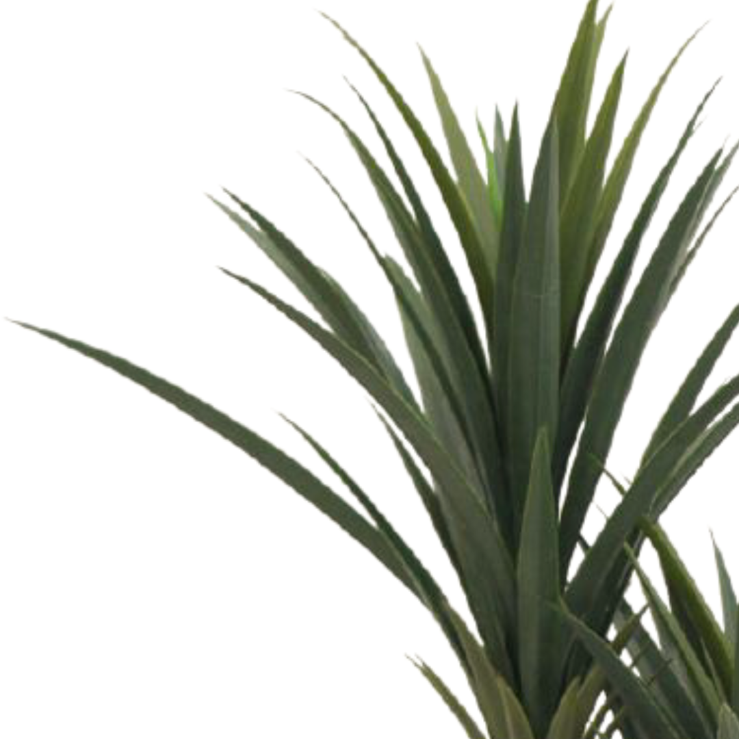 Artificial Yucca X 3 Plant With Pot 5ft