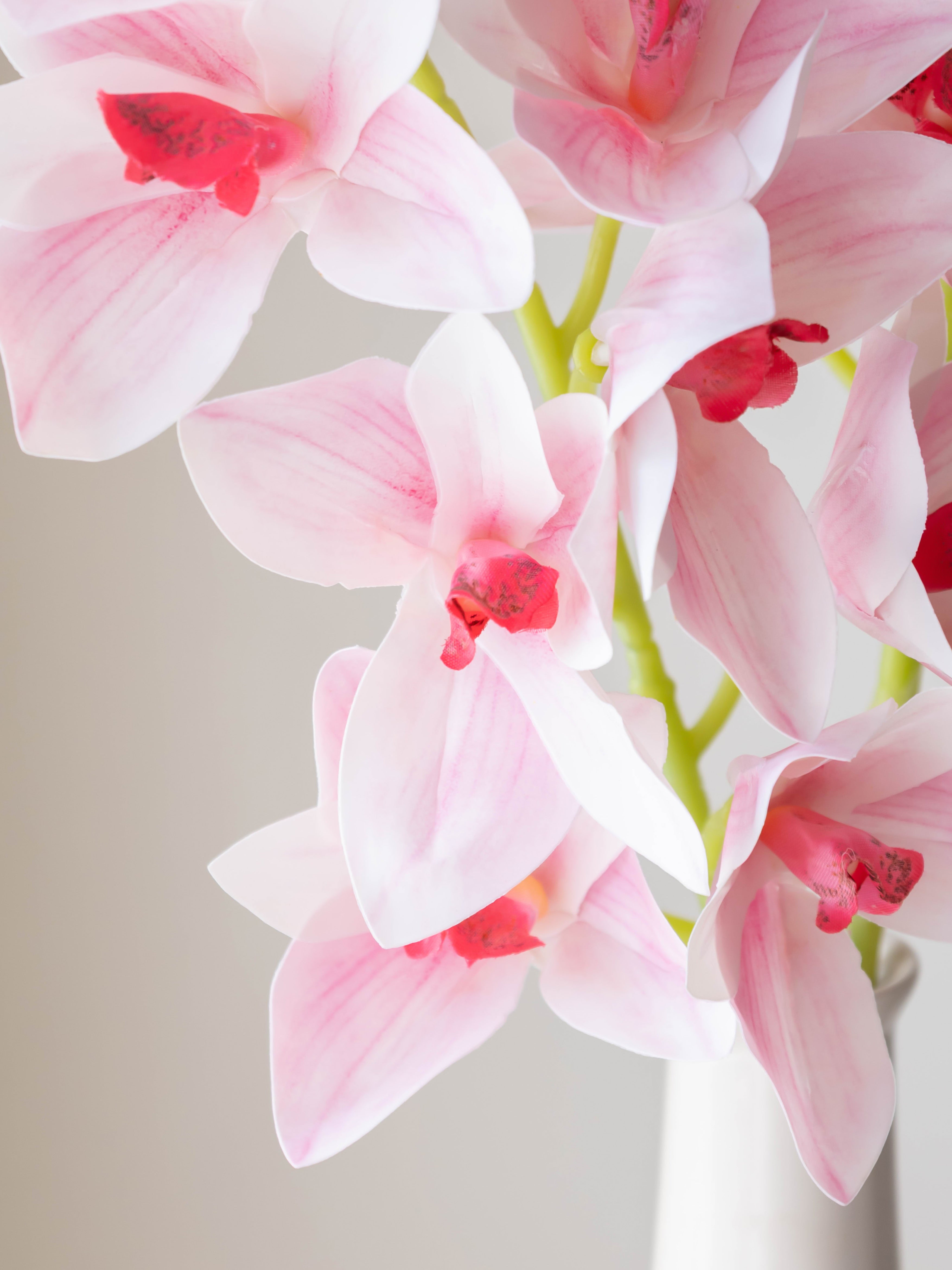 Artificial Cymbidium Orchid Flower Stem - Light Pink