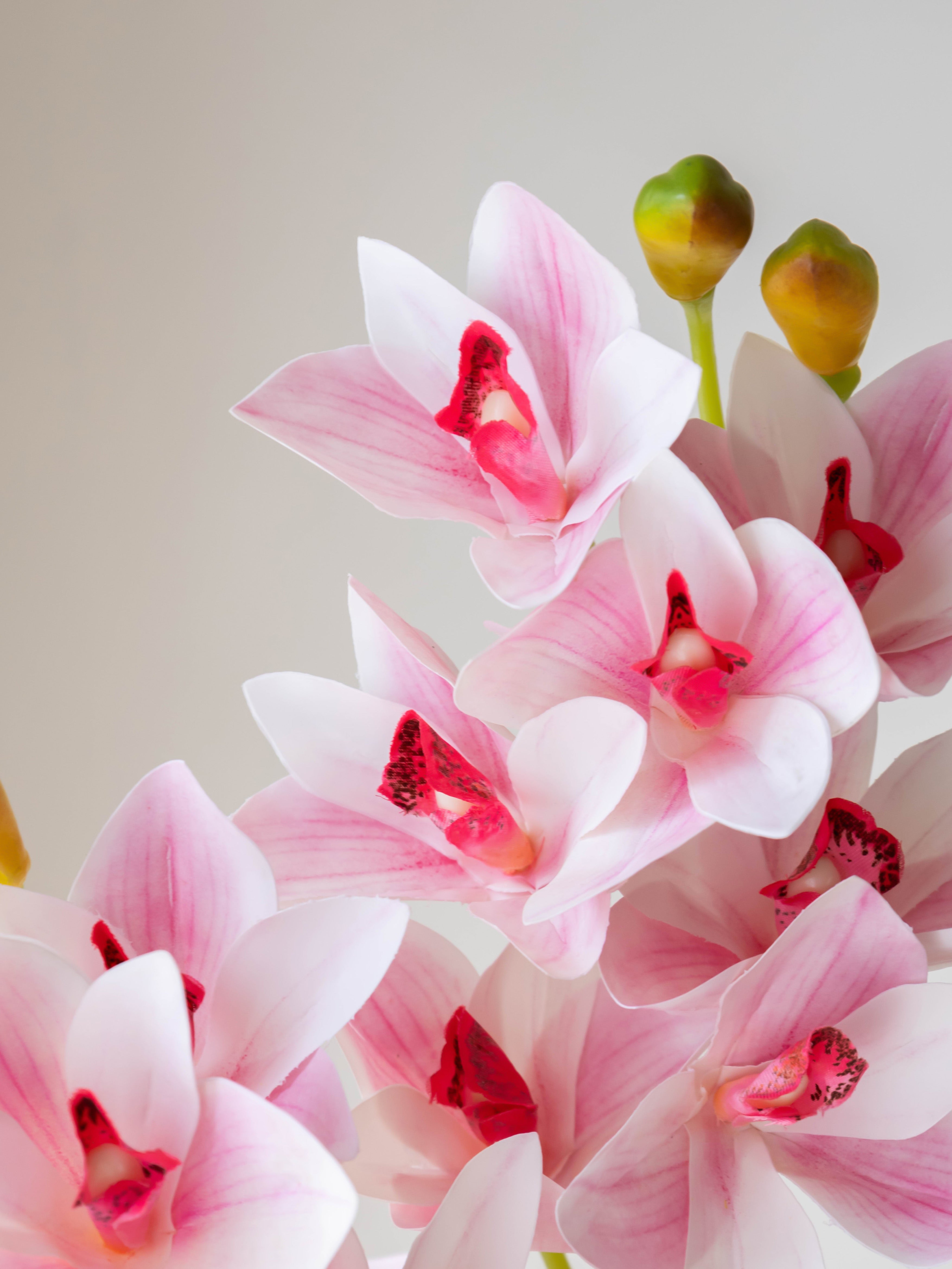 Artificial Cymbidium Orchid Flower Stem - Light Pink