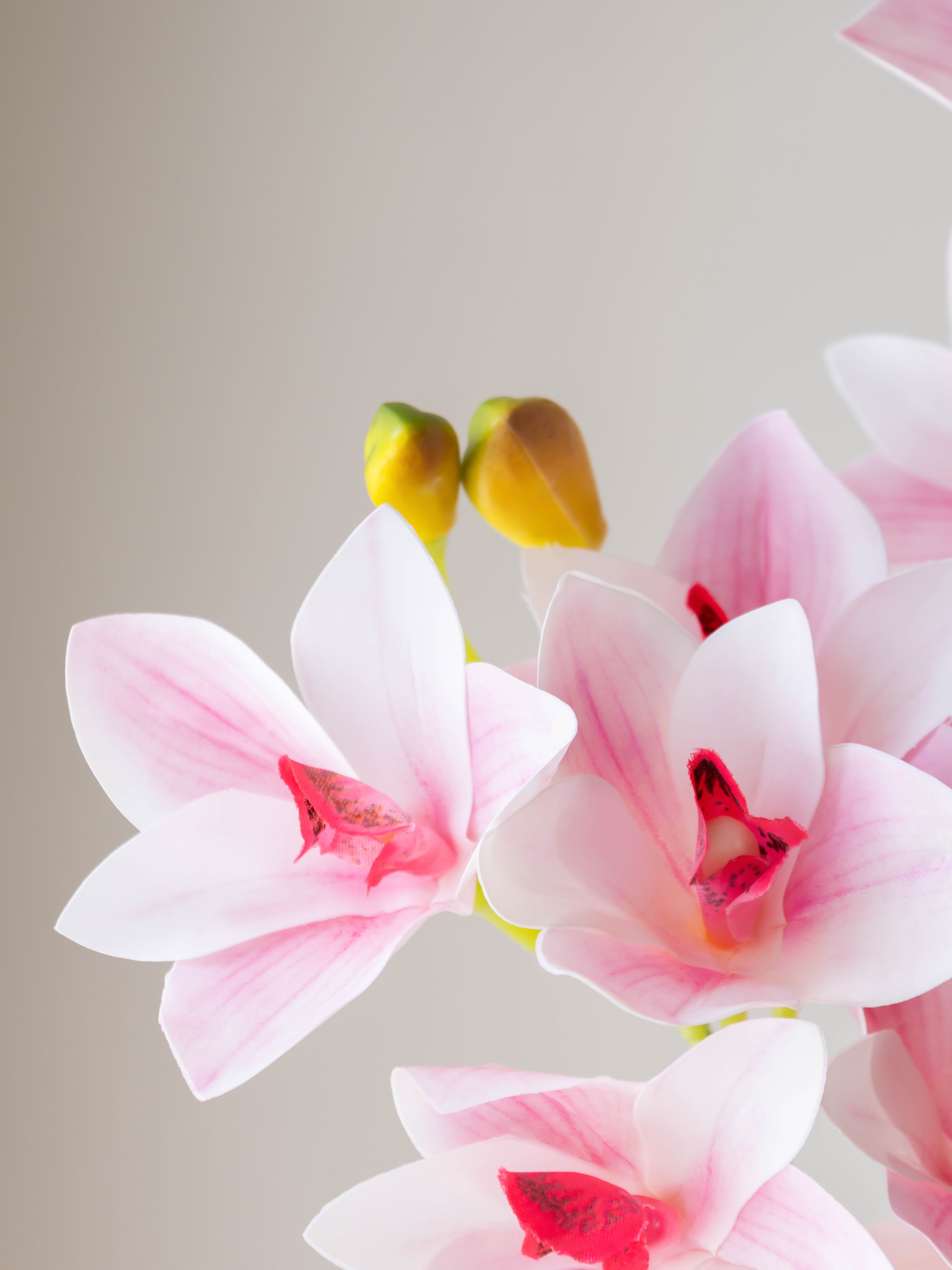 Artificial Cymbidium Orchid Flower Stem - Light Pink