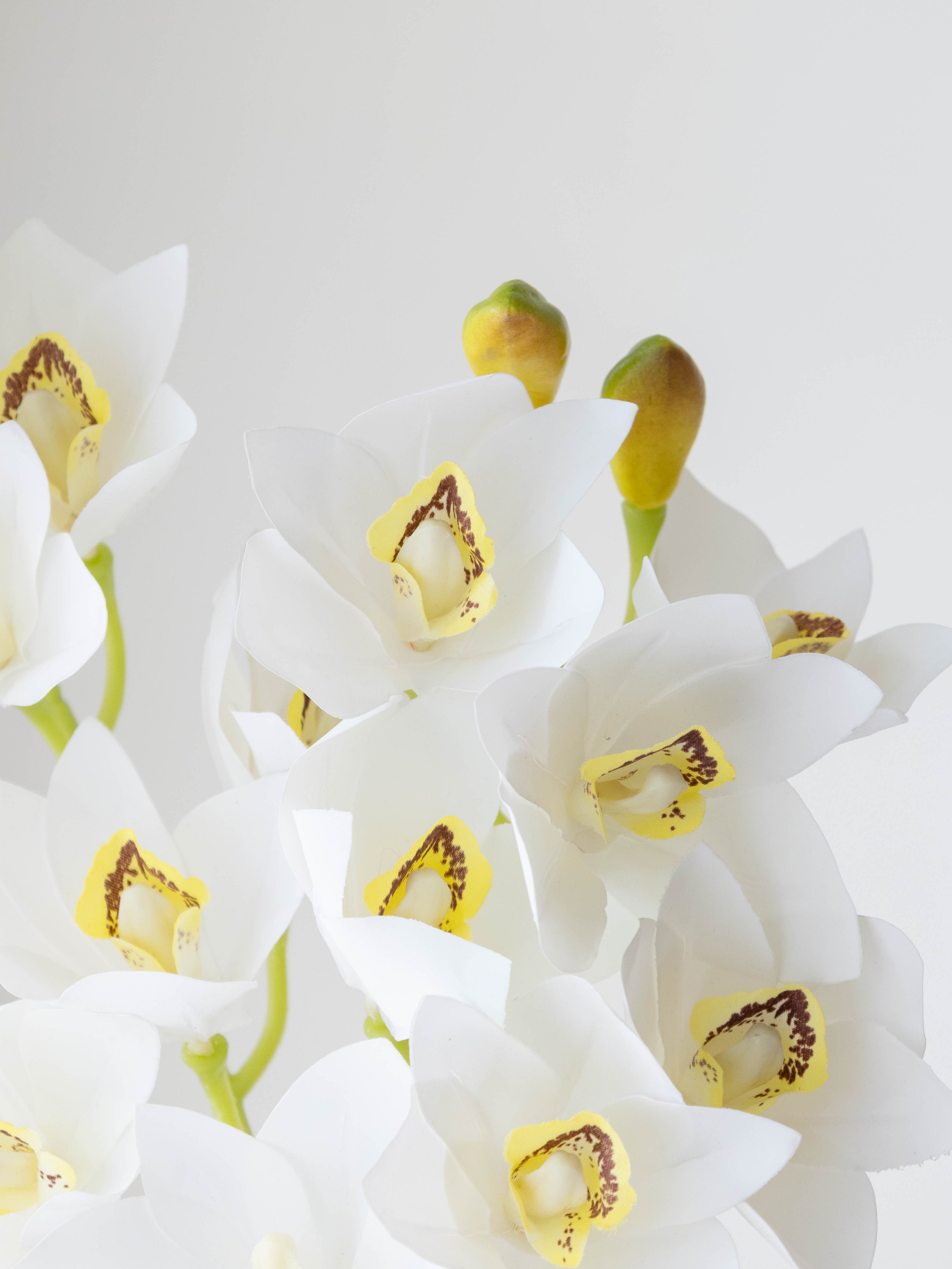 Artificial Cymbidium Orchid Flower Stem - White