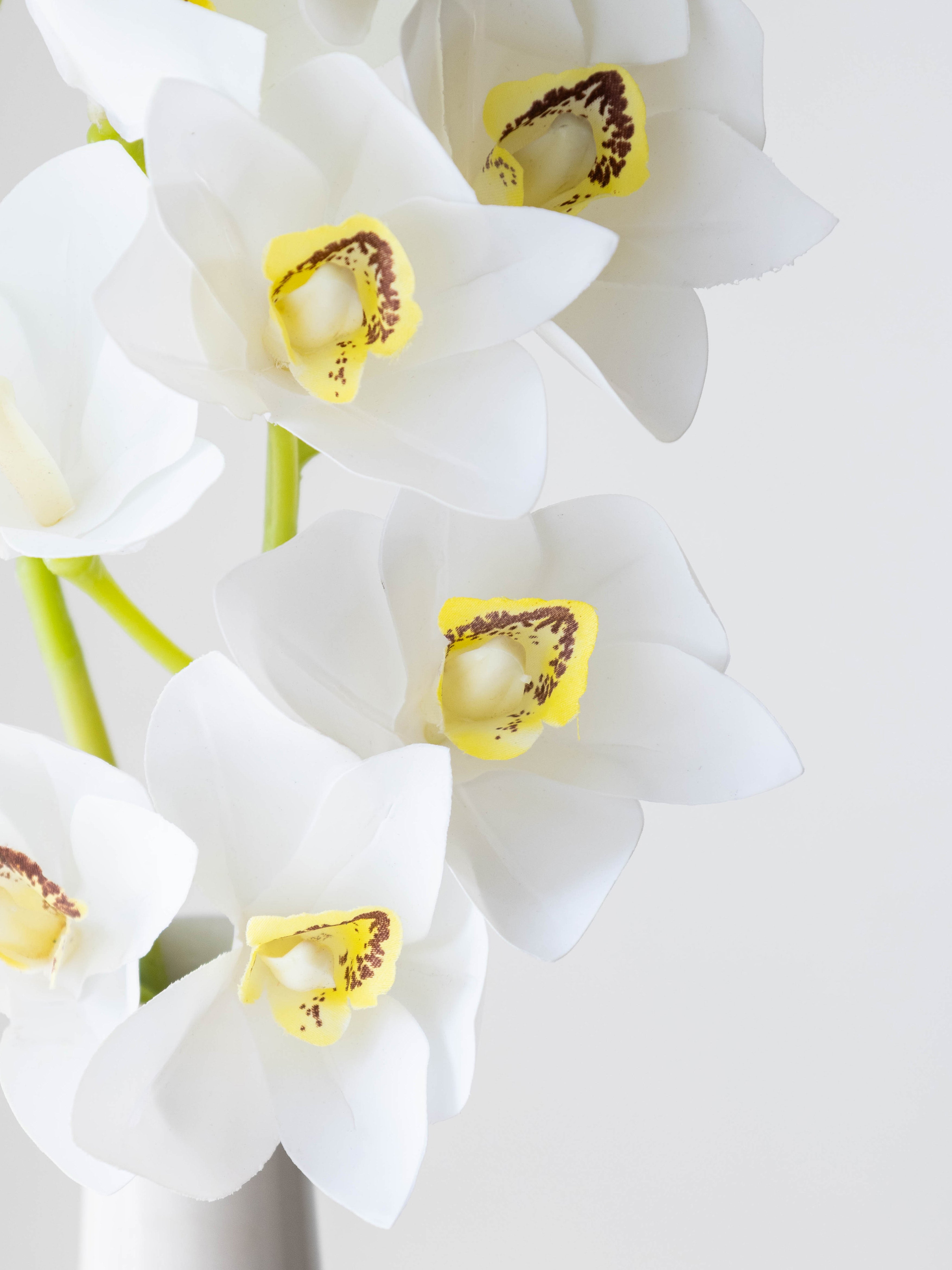 Artificial Cymbidium Orchid Flower Stem - White