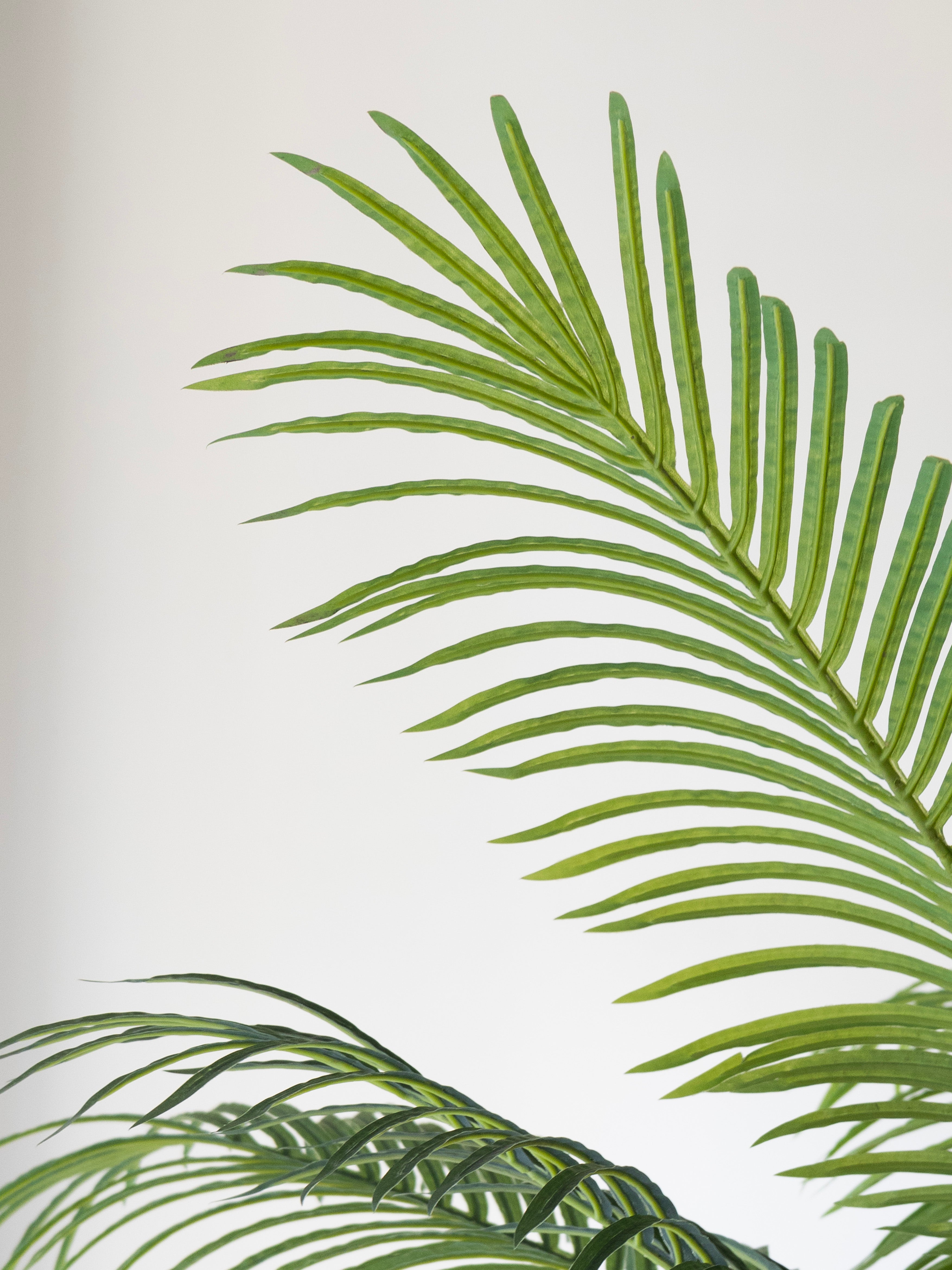 Artificial Phoenix Date Palm Tree 6ft