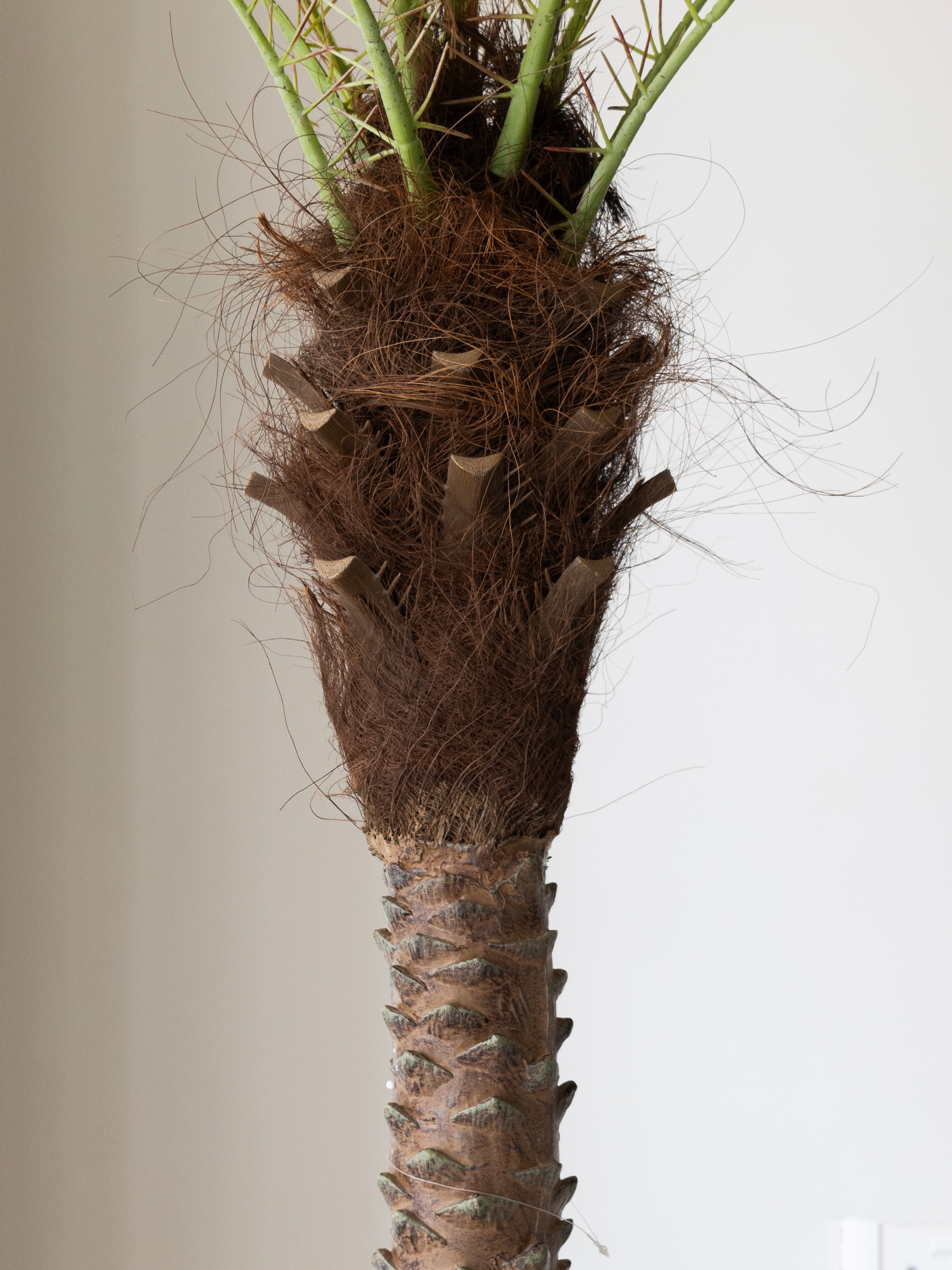 Artificial Phoenix Date Palm Tree 6ft