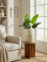 Artificial Traveller's Banana Leaf Plant 2.8ft