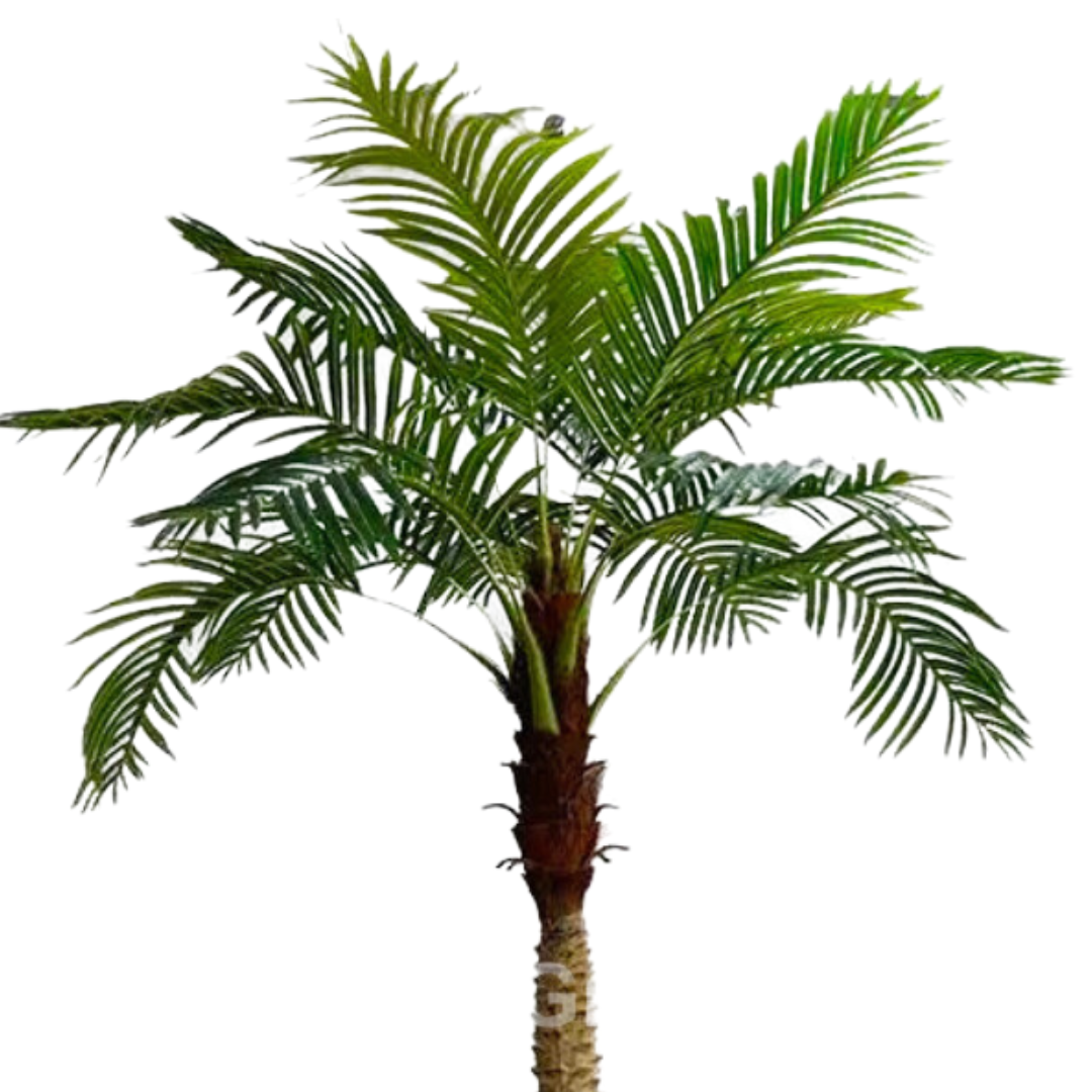 Artificial Coconut Tree 8ft With Pot