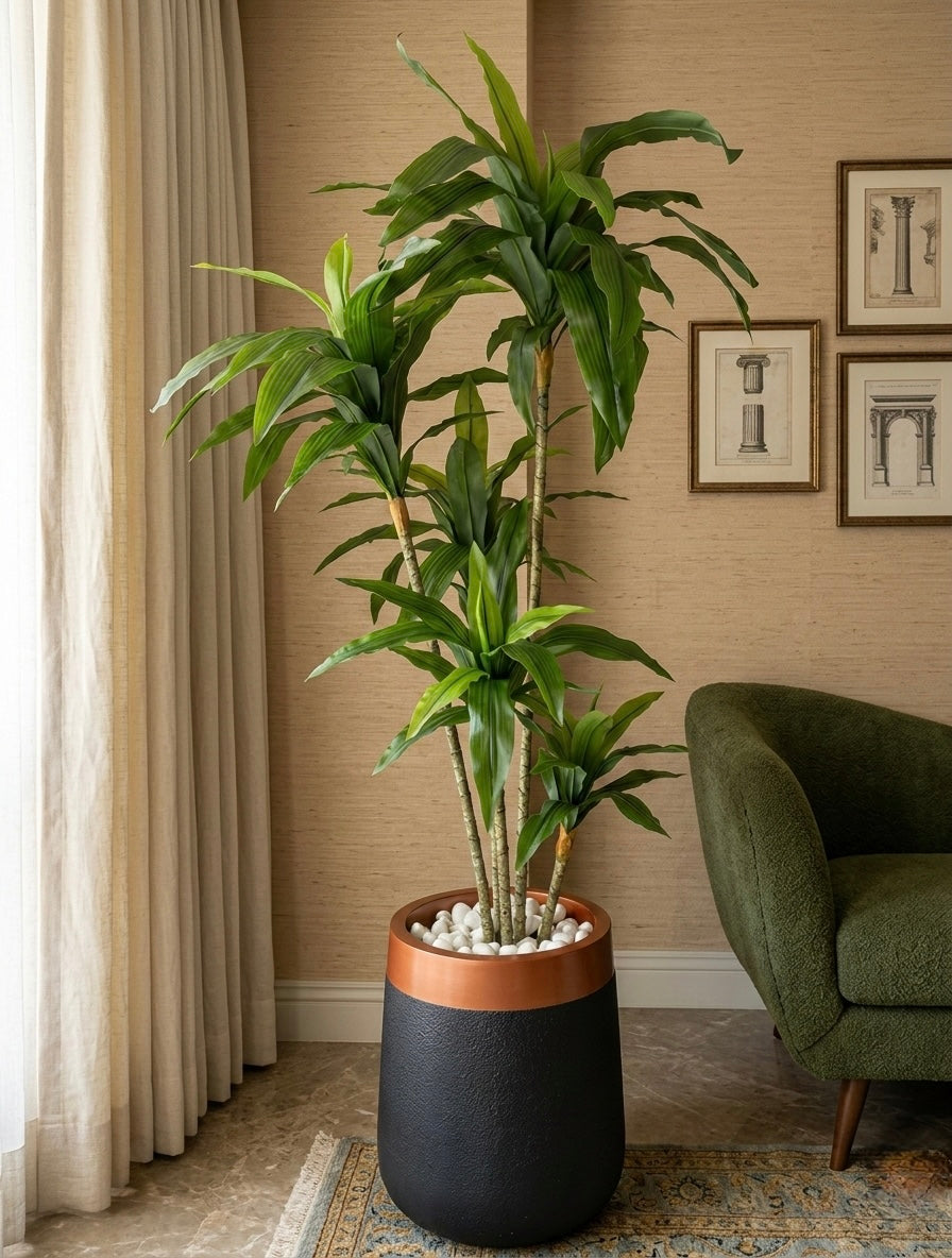 Artificial Green Dracaena Plant 5.2ft