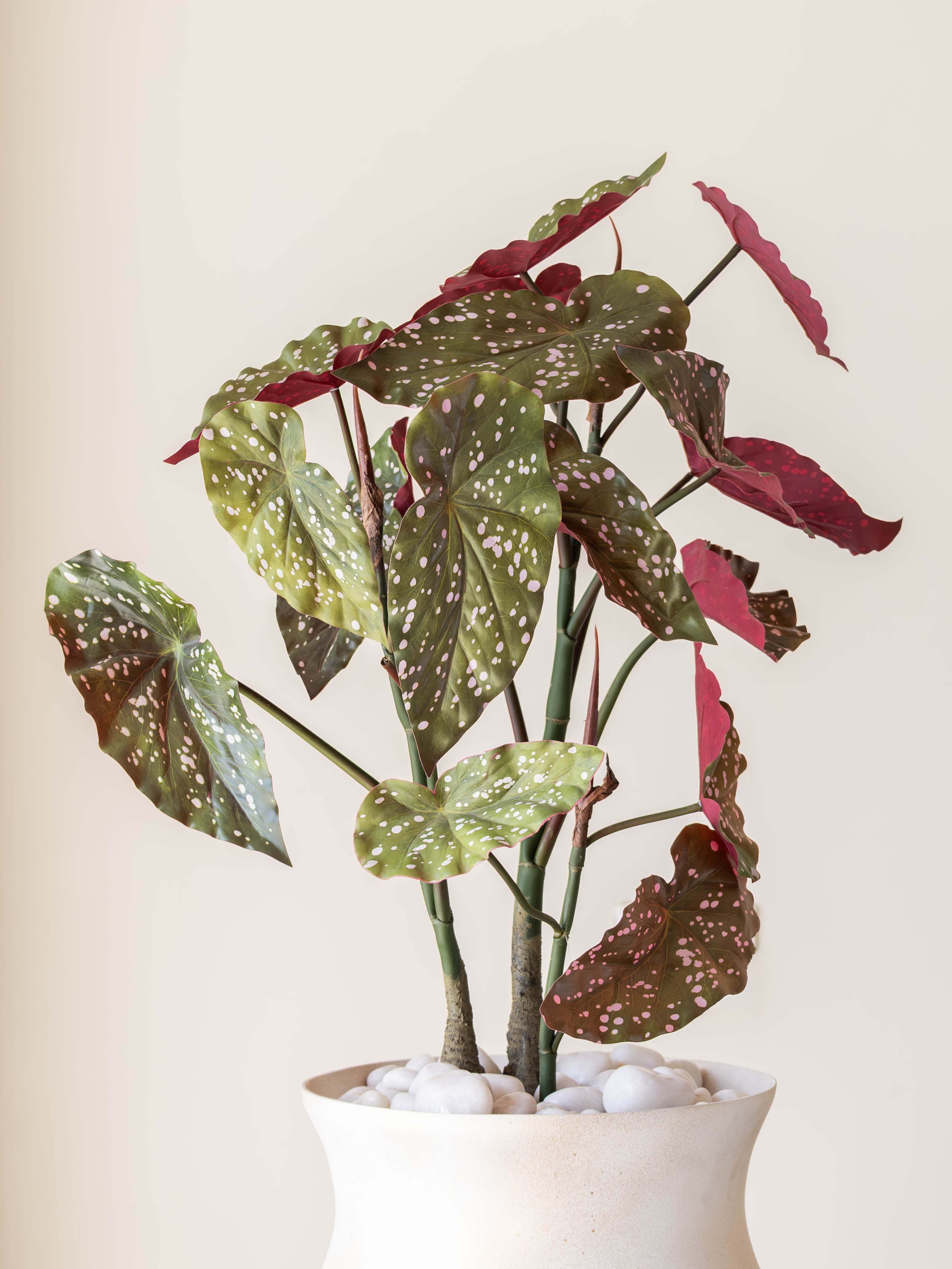 Artificial Green Begonia Maculata Plant 2.5ft
