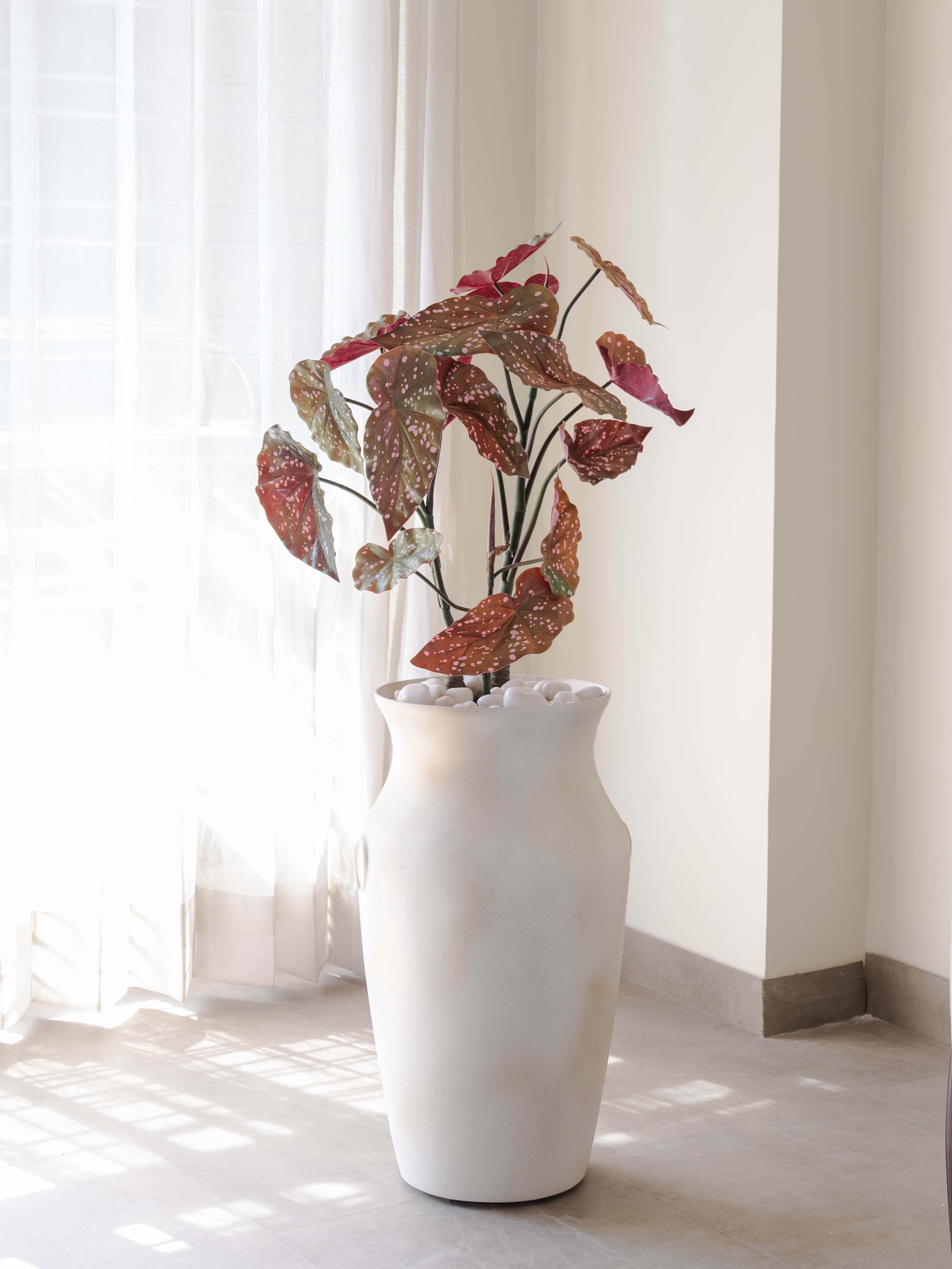 Artificial Green Begonia Maculata Plant 2.5ft