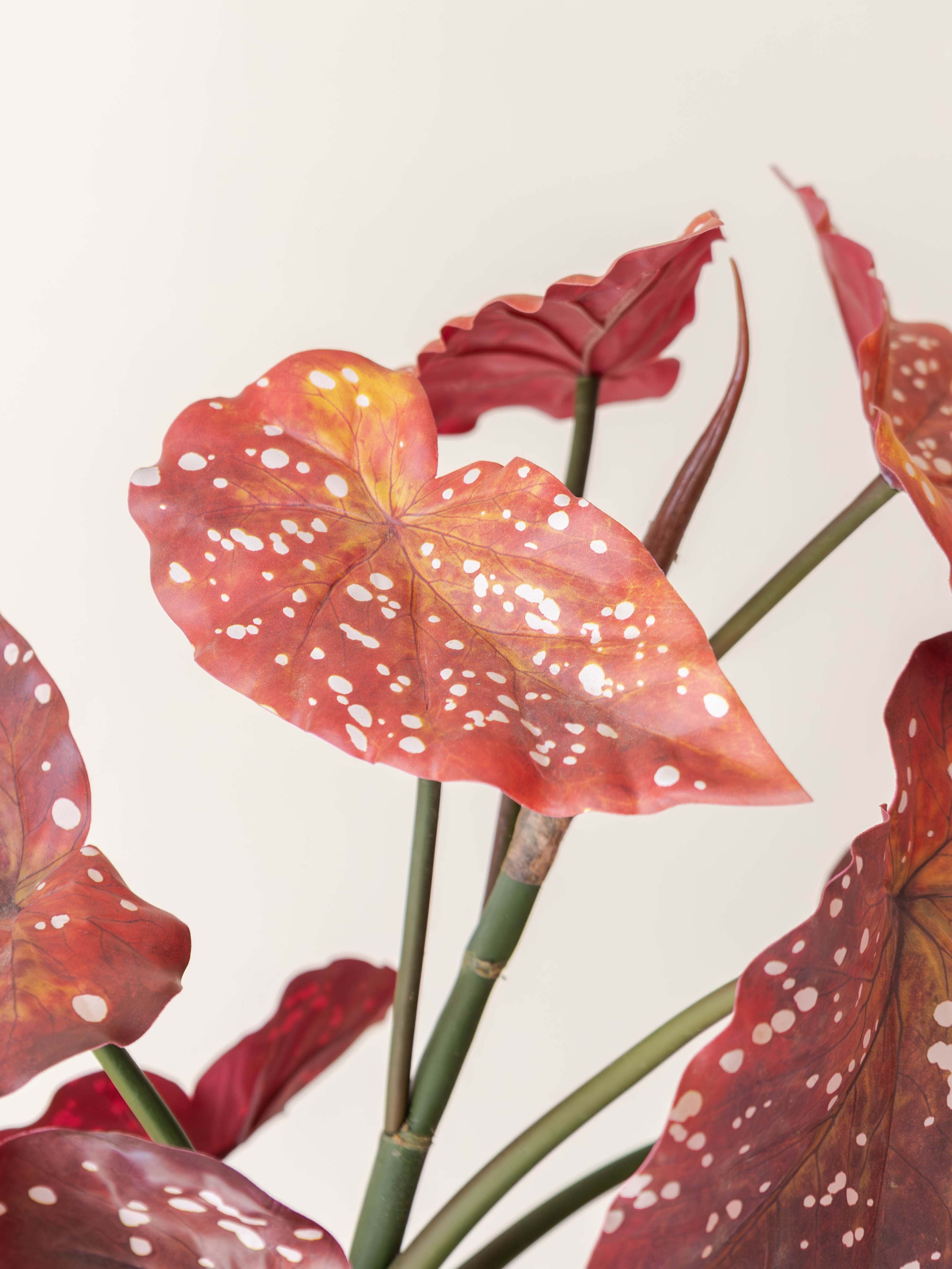 Artificial Red Begonia Maculata Plant 2.5ft