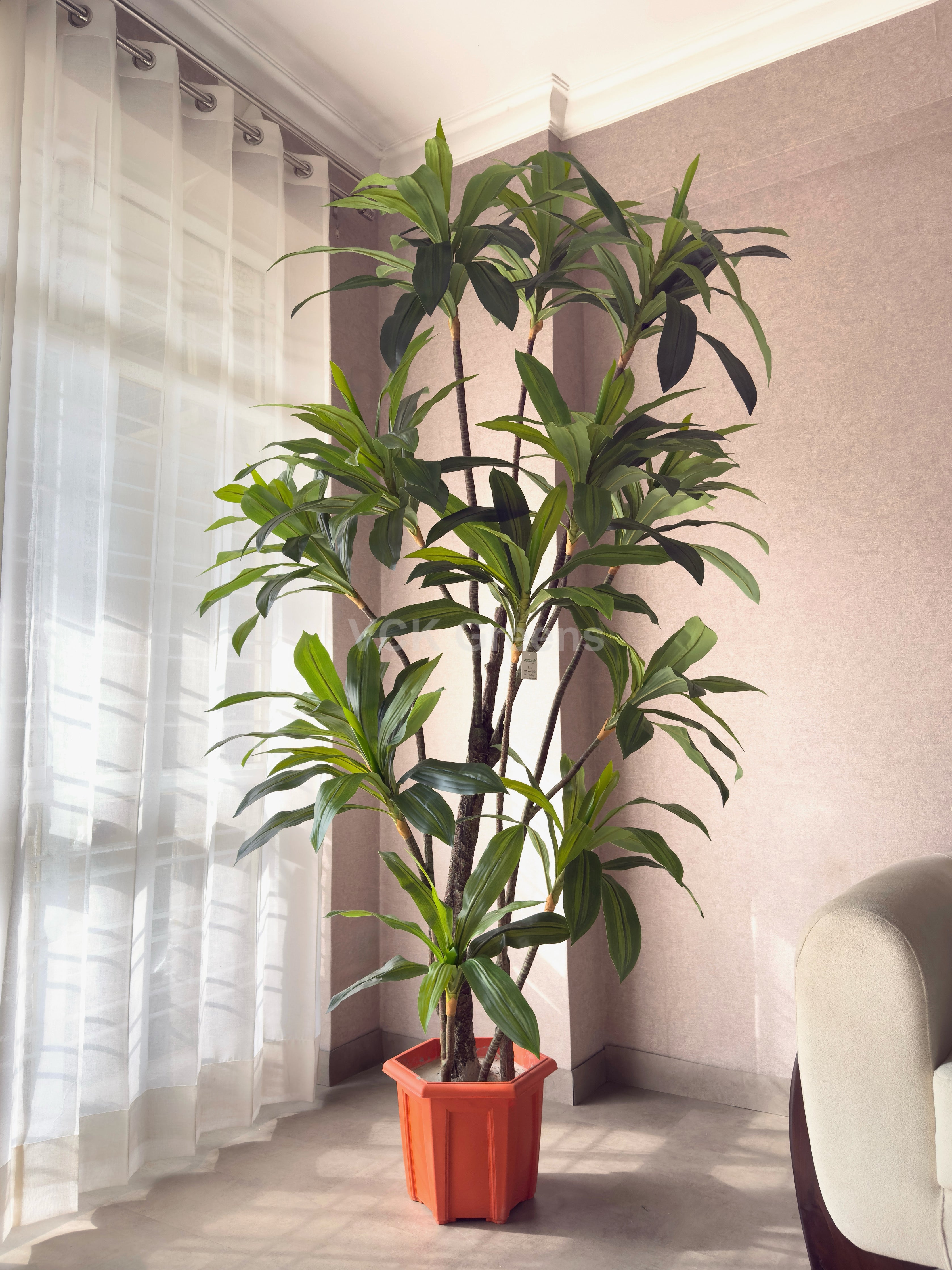 Artificial Jumbo Dracaena Plant 10ft With Pot