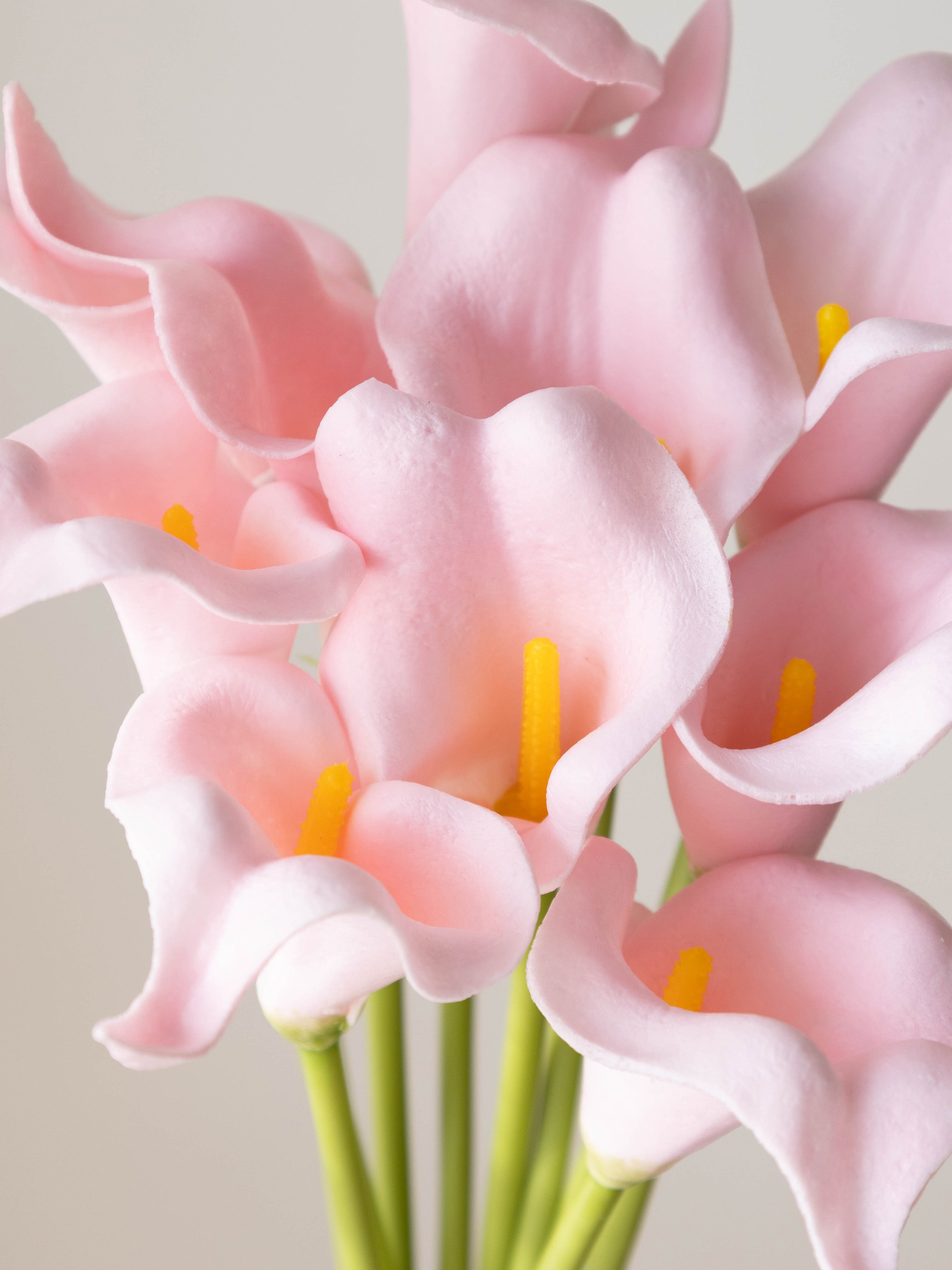 Artificial Calla Lily Stems (Set of 10)