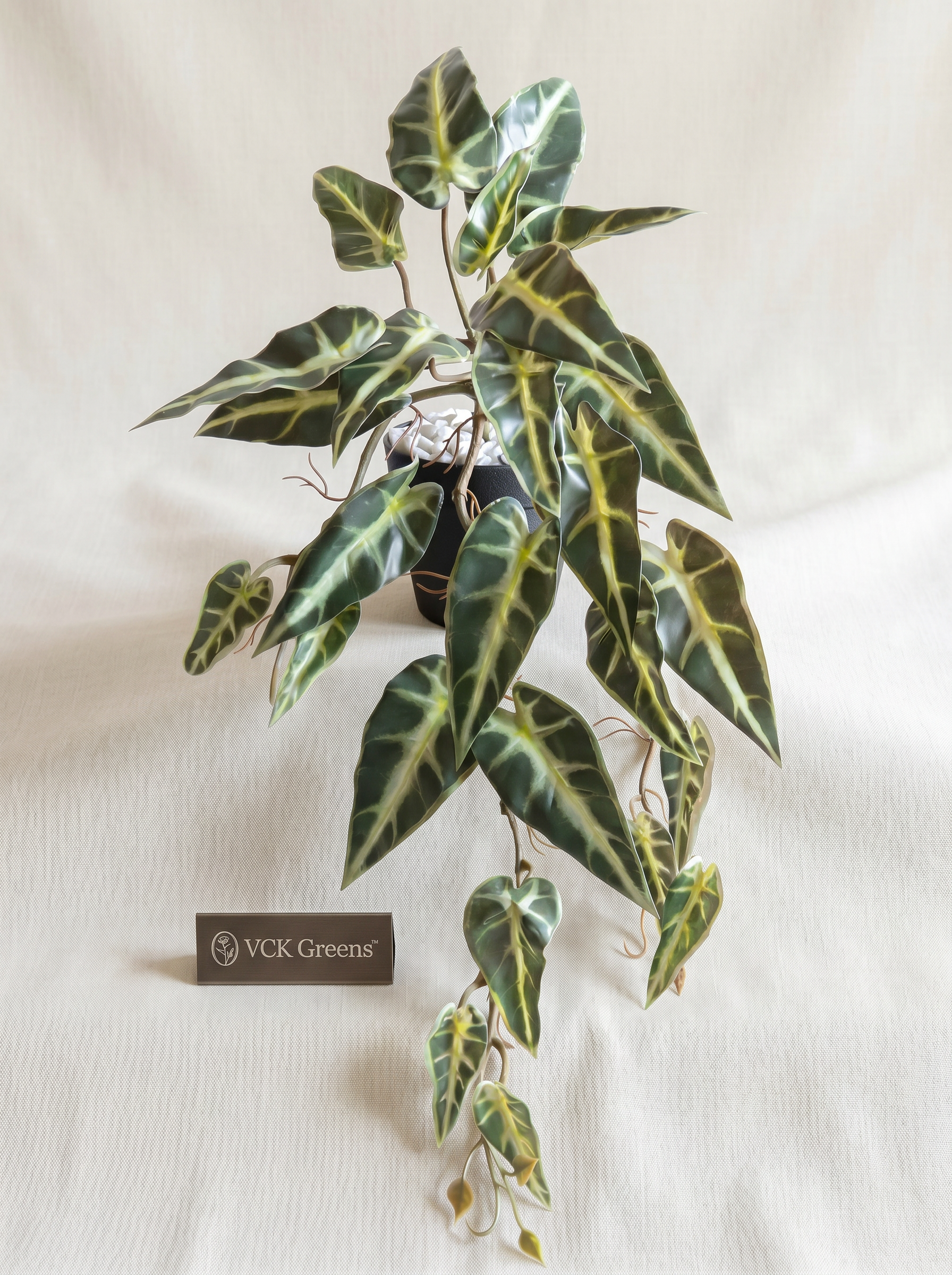Artificial Variegated Alocasia Creeper