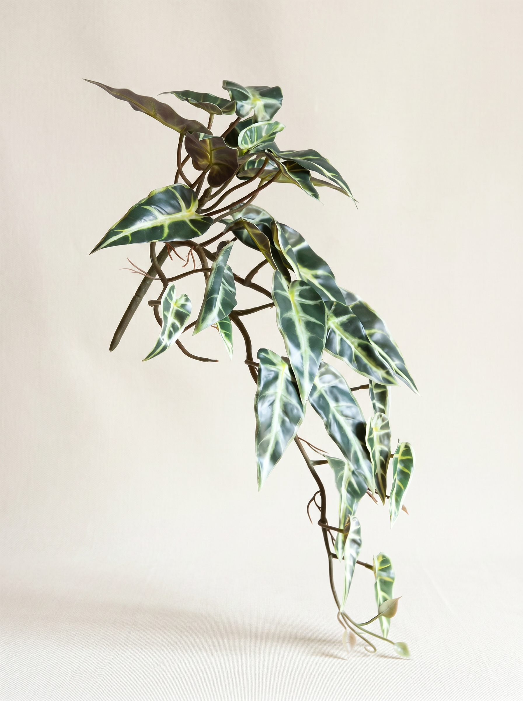 Artificial Variegated Alocasia Creeper