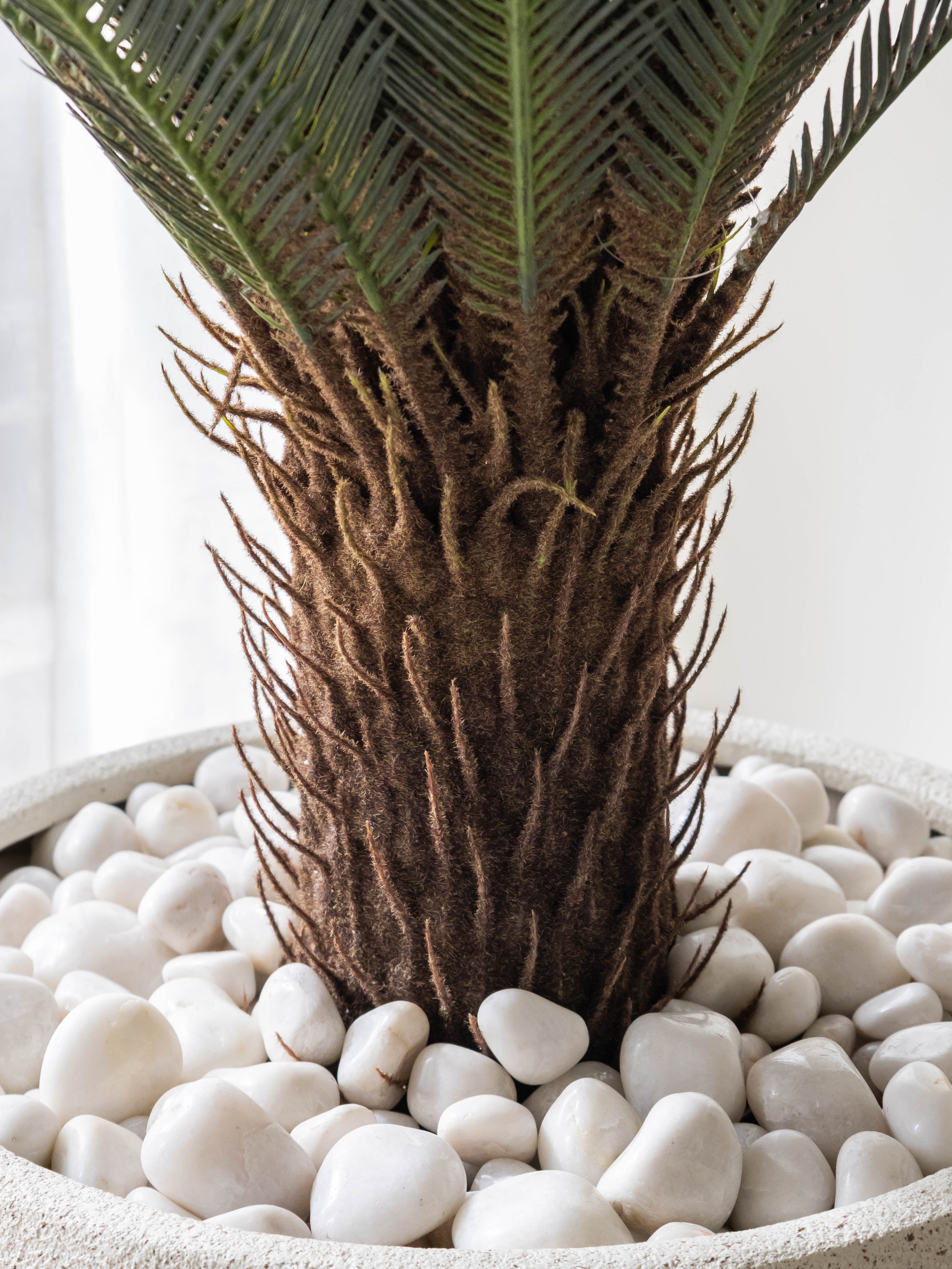 Artificial Cycas Palm Plant 4ft