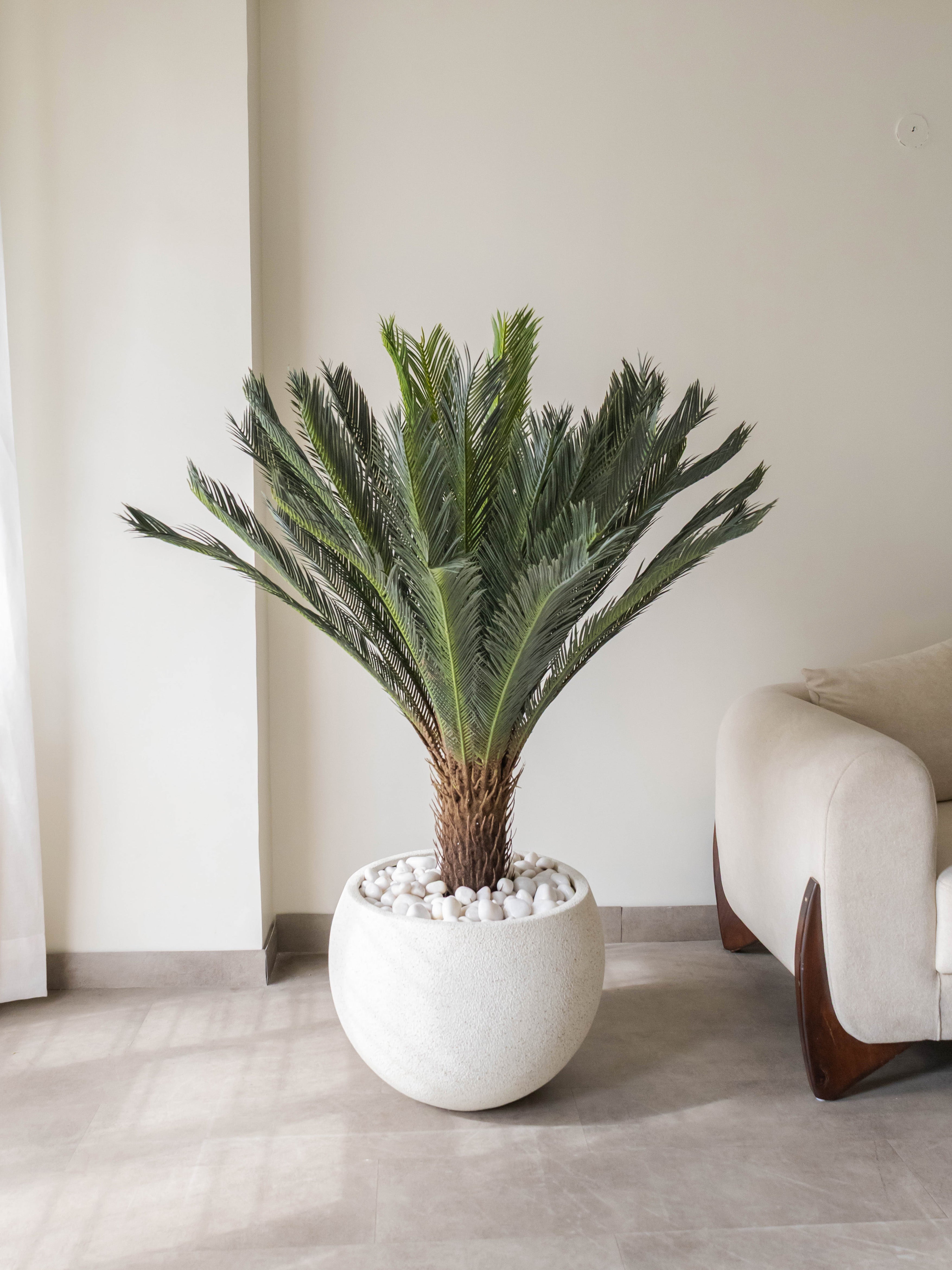 Artificial Cycas Palm Plant 4ft