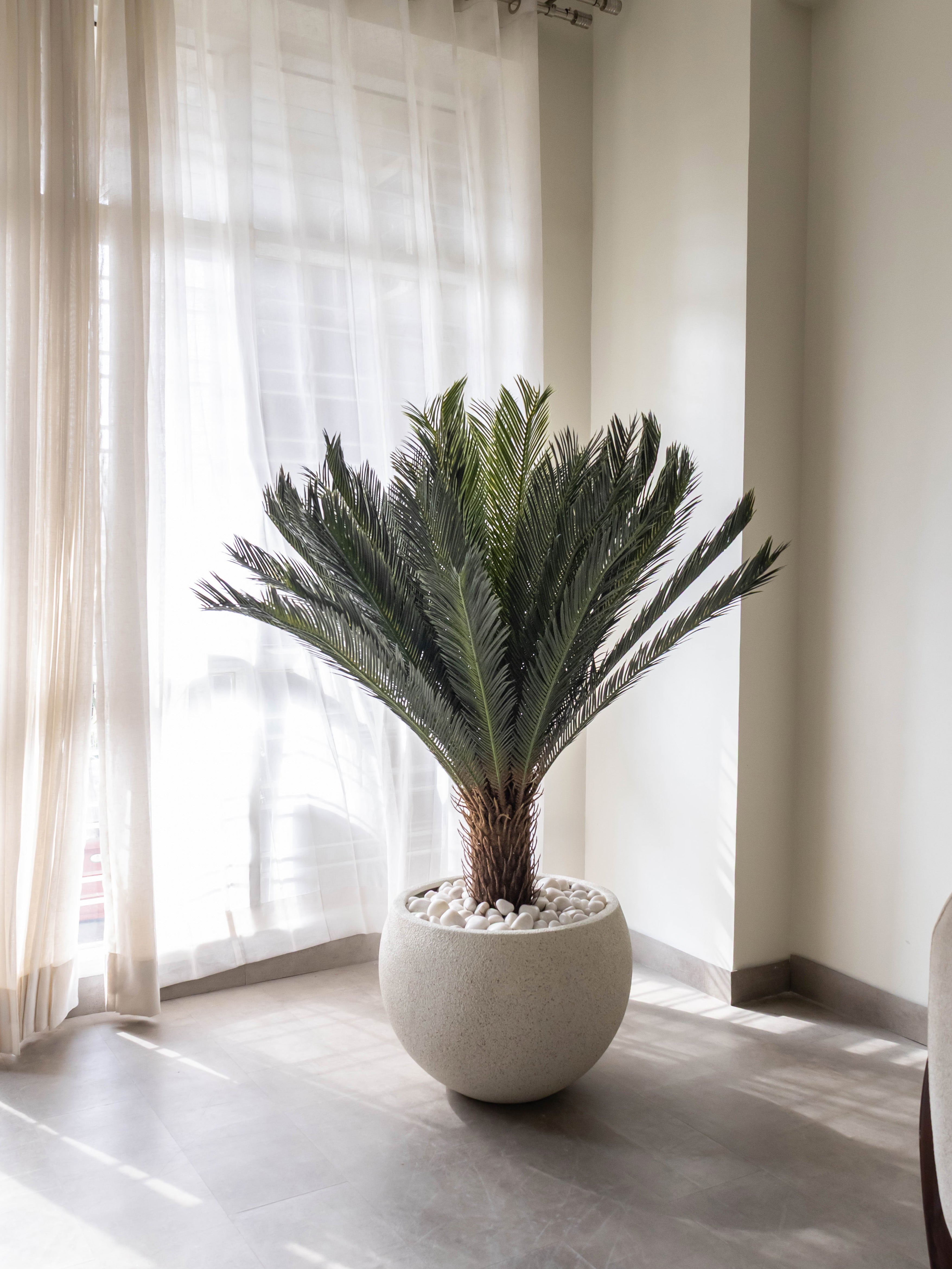 Artificial Cycas Palm Plant 4ft