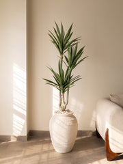 Architectural Artificial Dracaena Plant 5ft