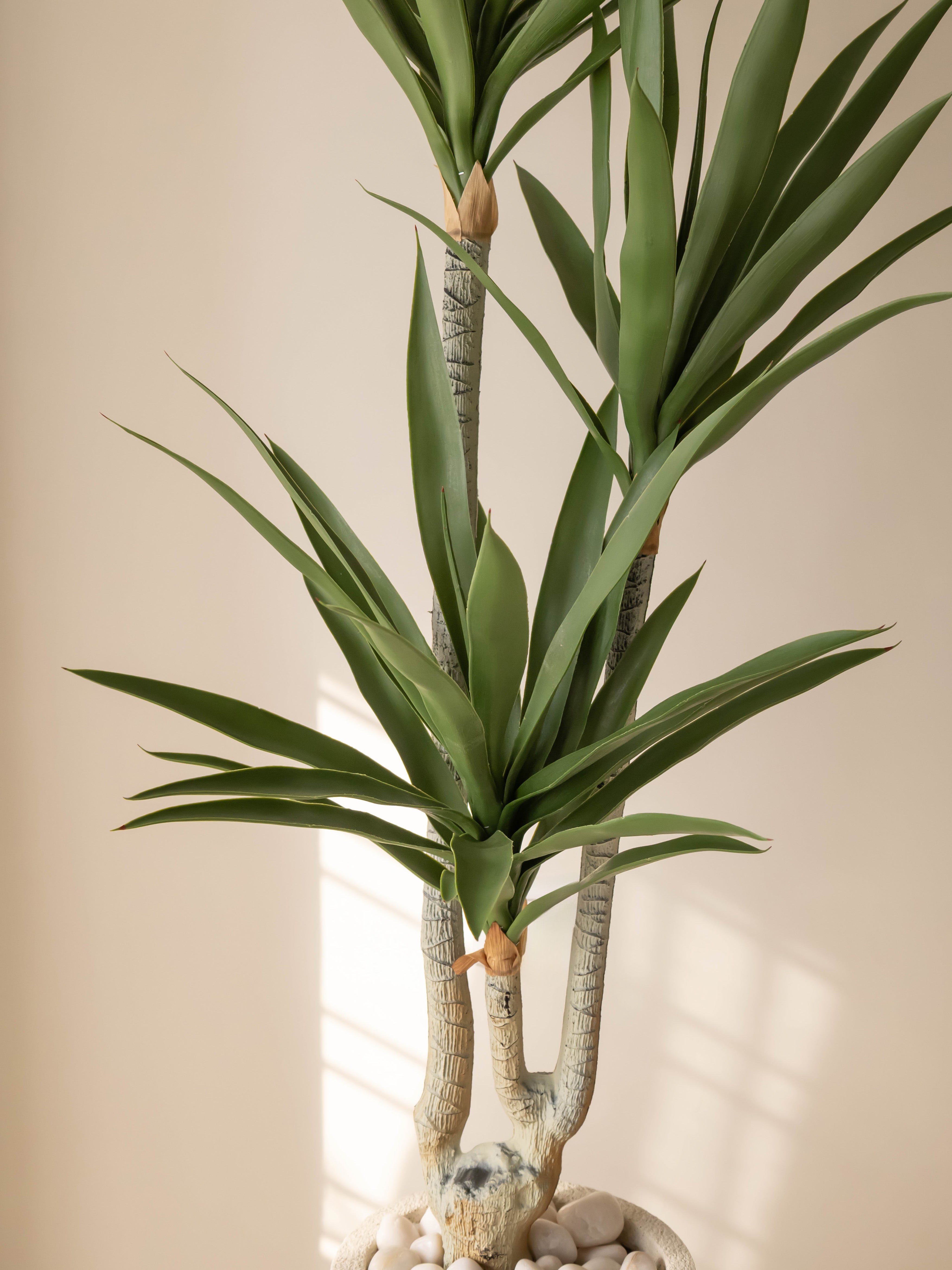 Architectural Artificial Dracaena Plant 5ft