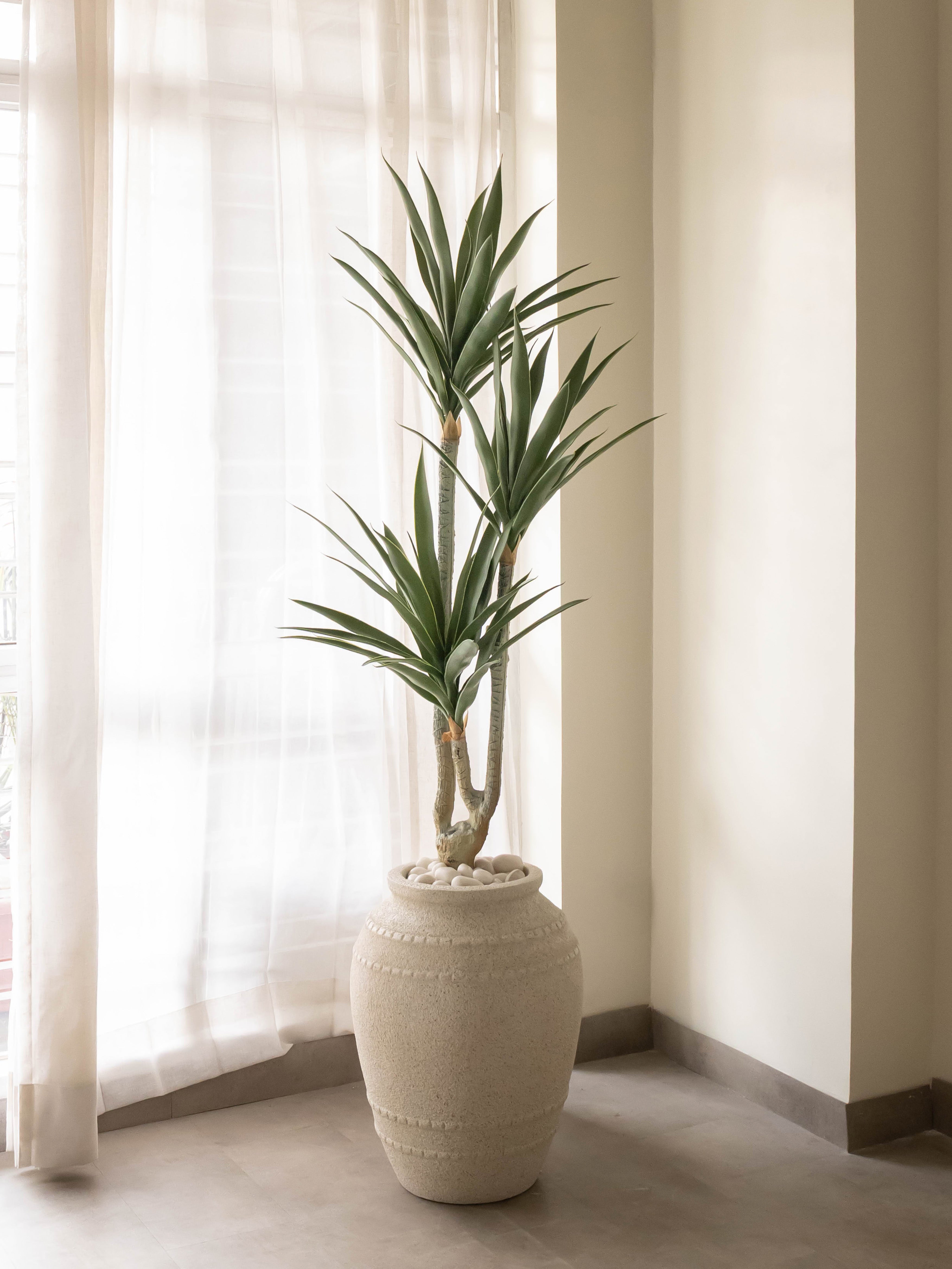 Architectural Artificial Dracaena Plant 5ft