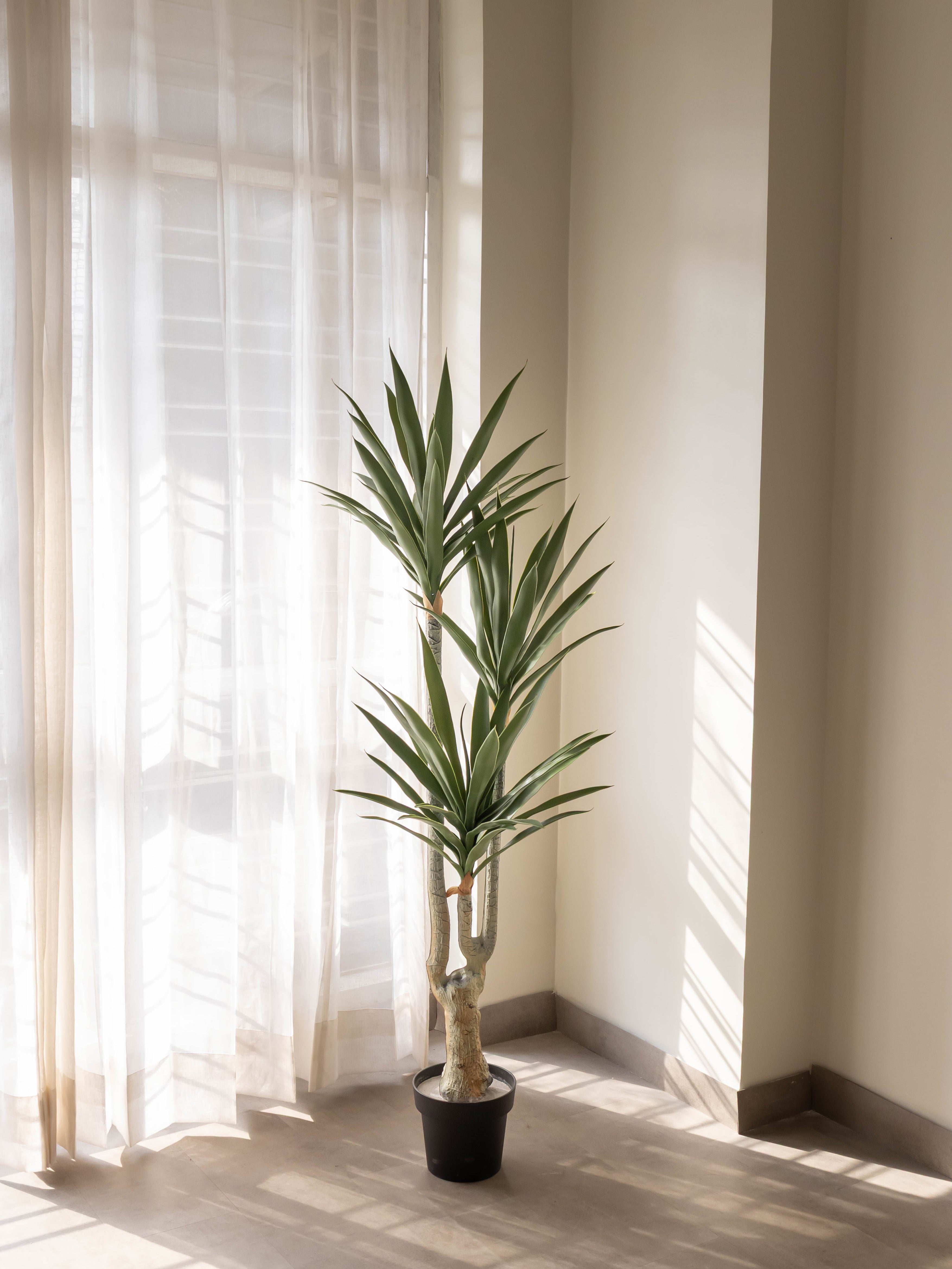 Architectural Artificial Dracaena Plant 5ft