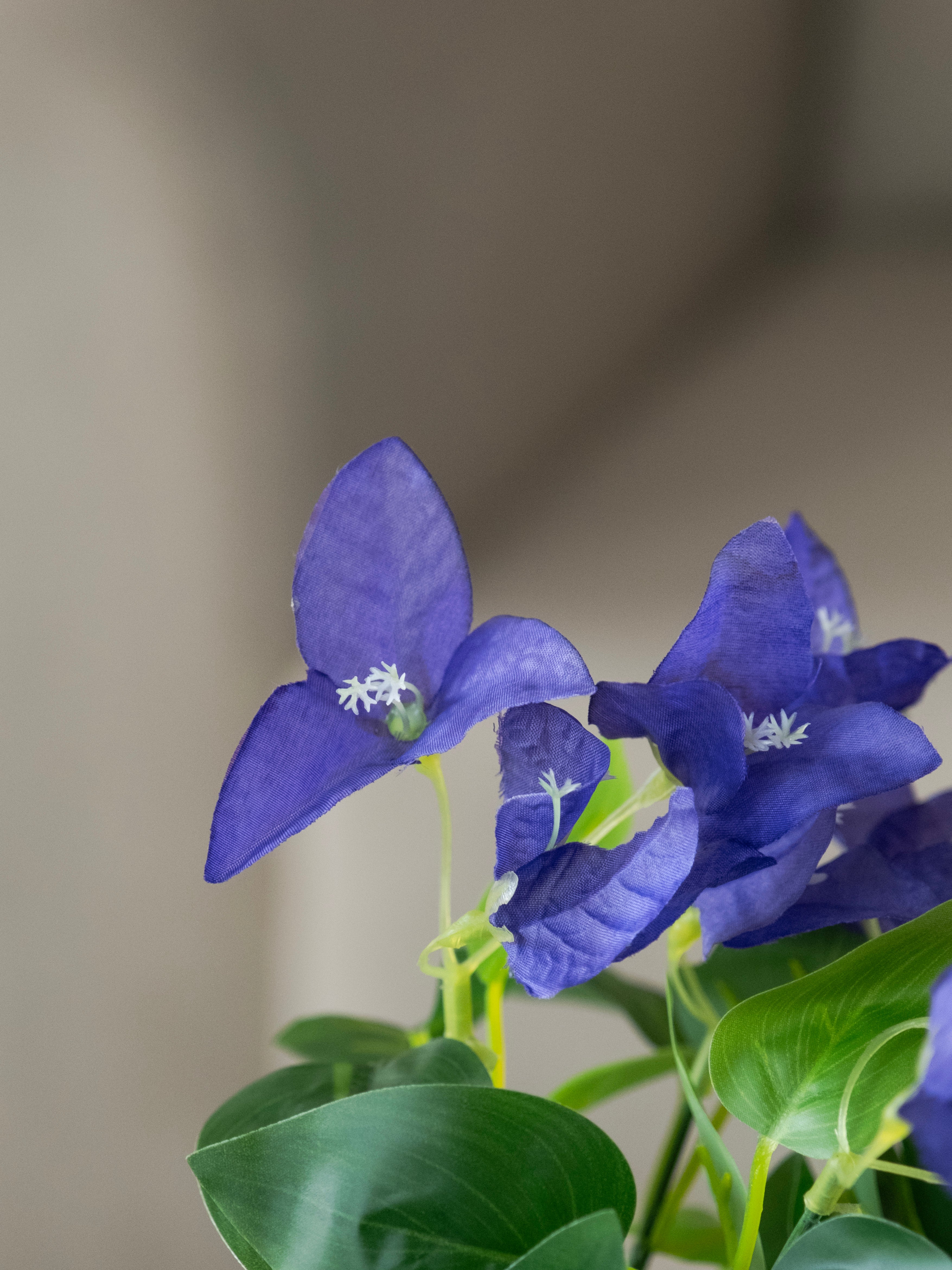 Artificial Bougainvillea Bunch (Set of 3)