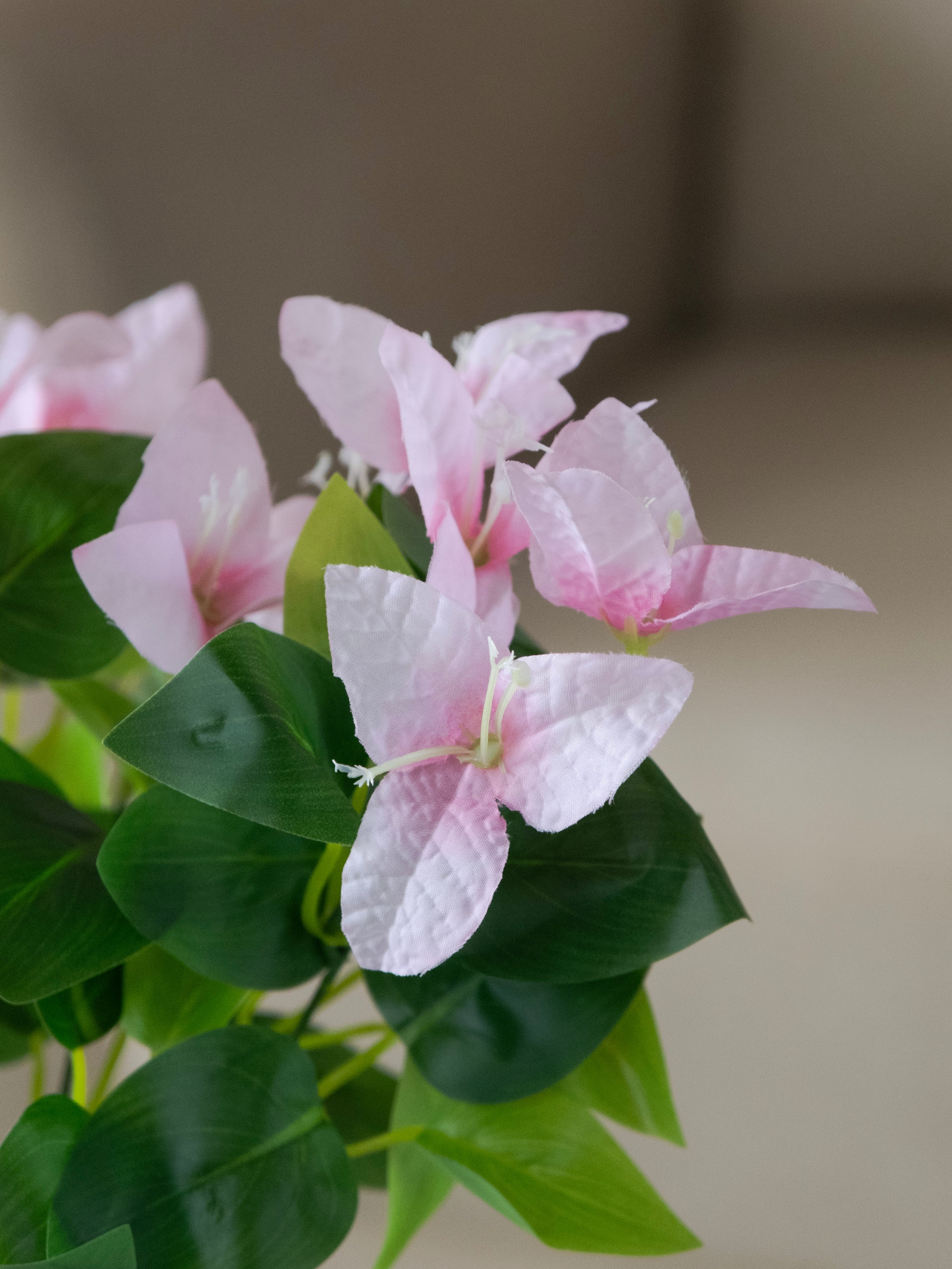 Artificial Bougainvillea Bunch (Set of 3)